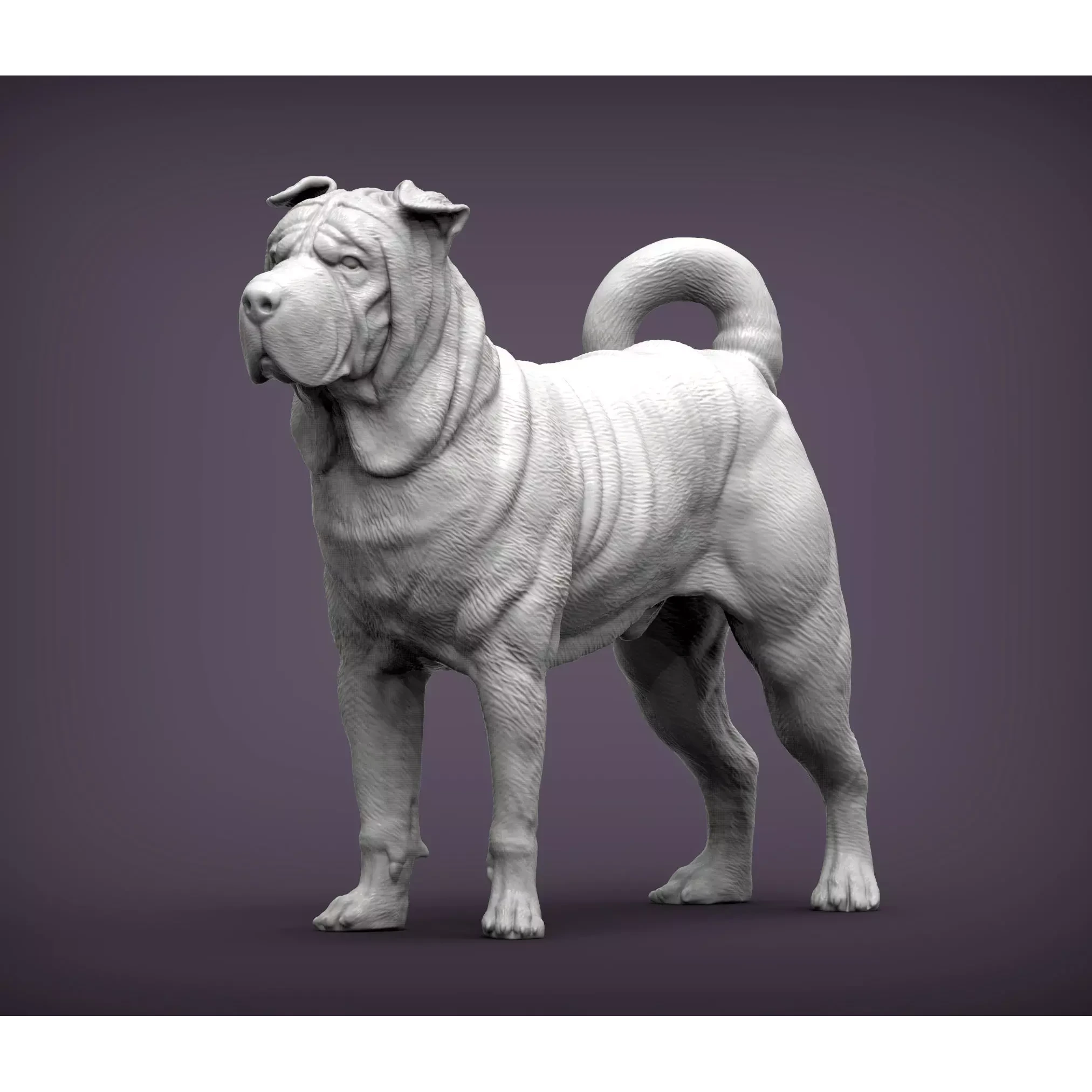 sharpei dog 3D print model