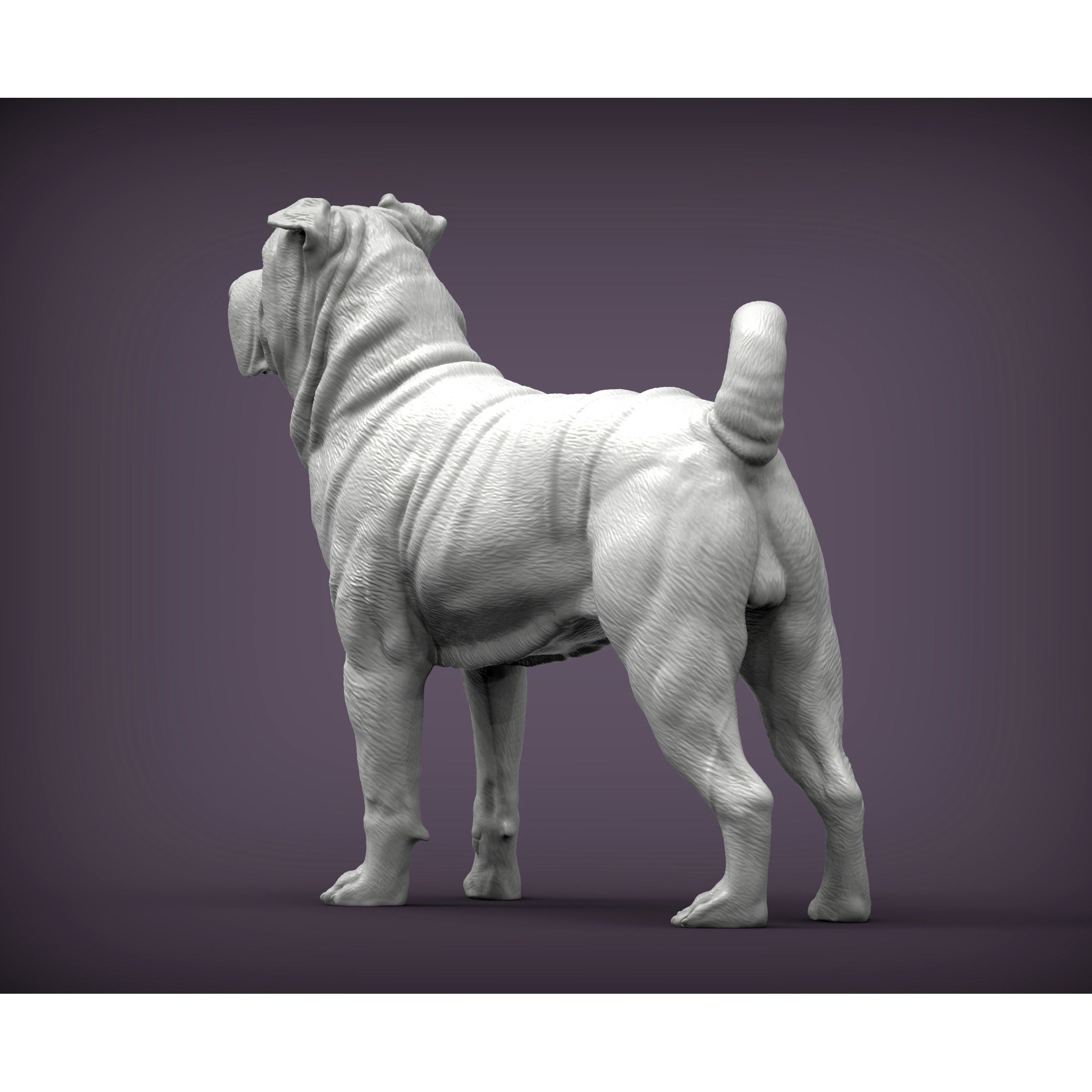 sharpei dog 3D print model 3