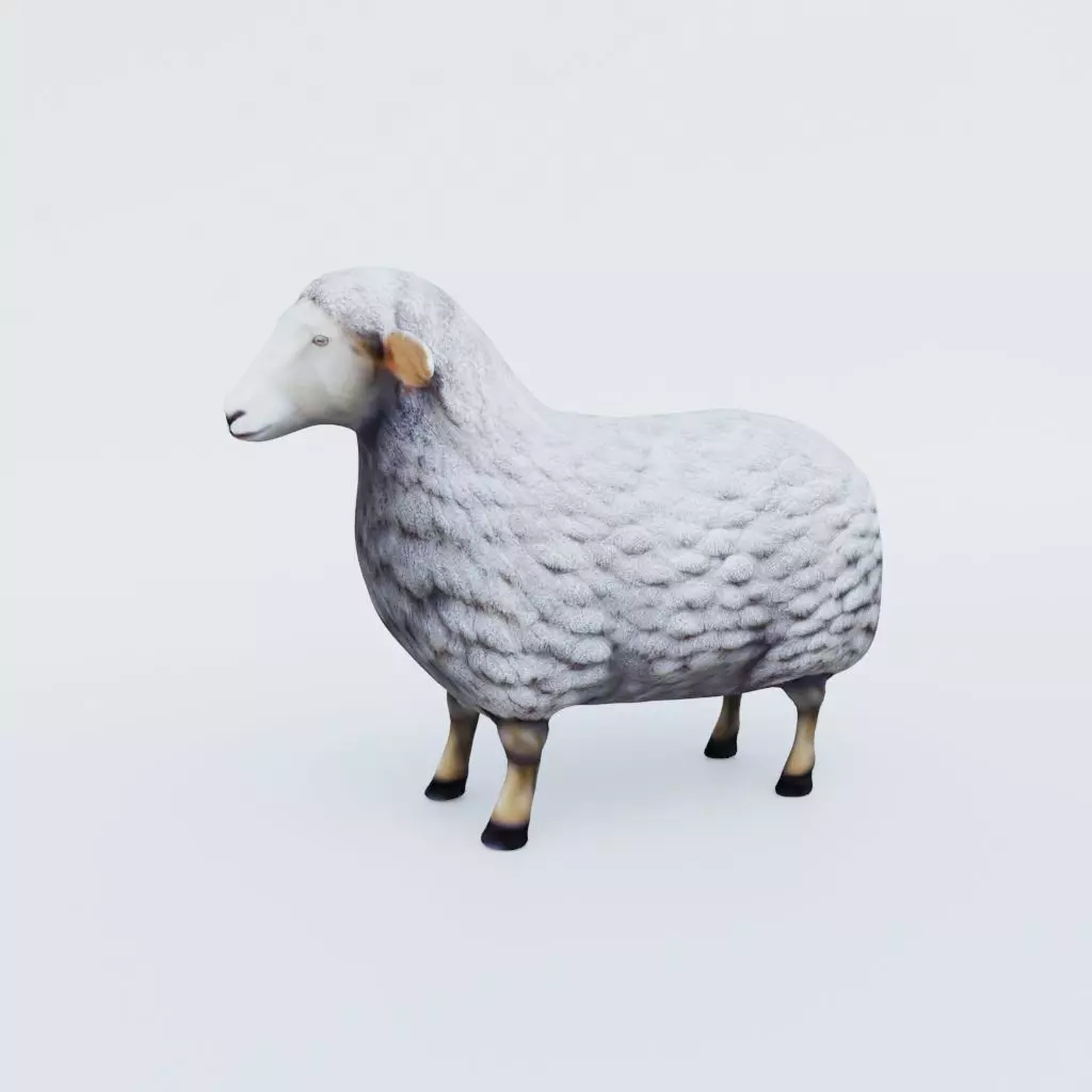 Sheep Free 3D model