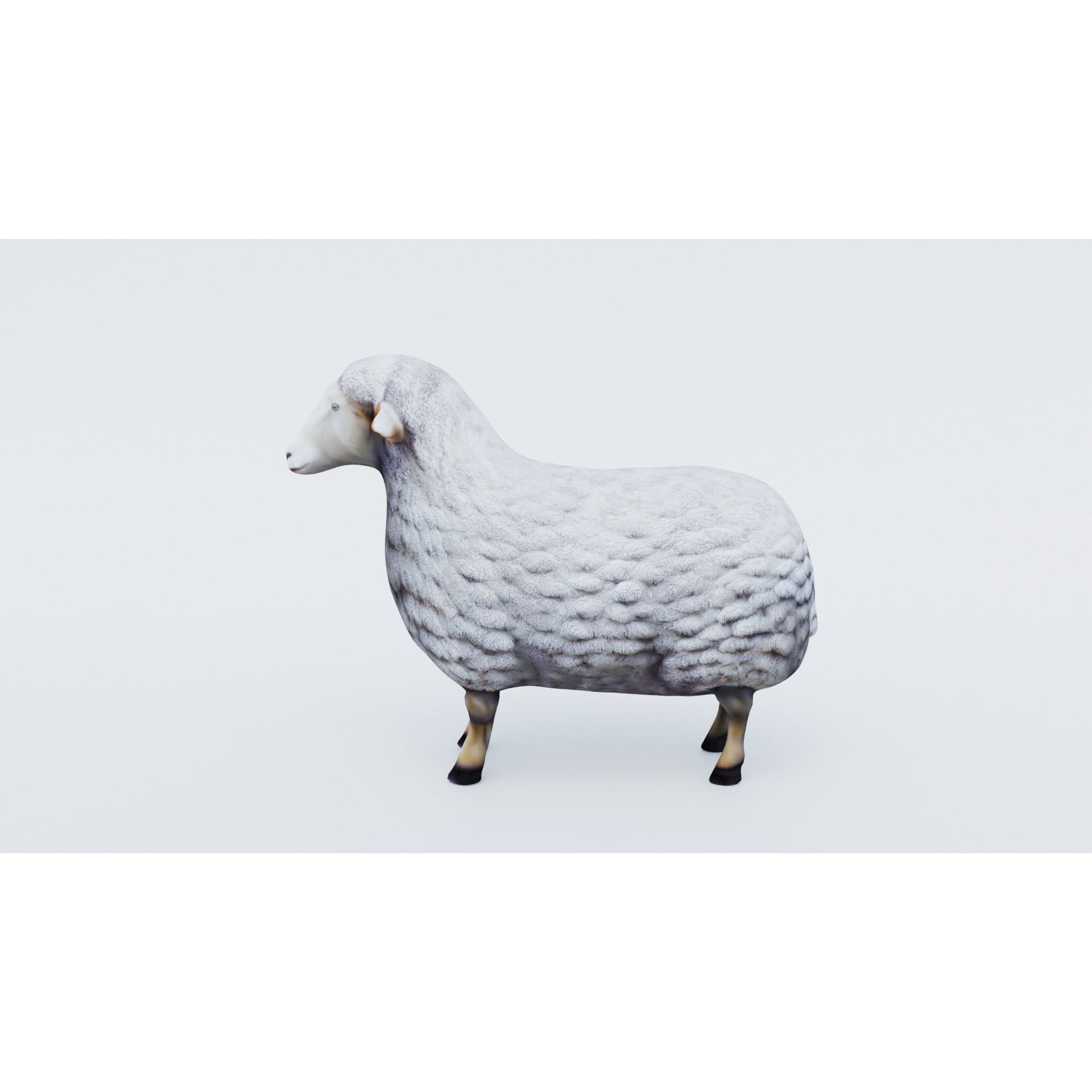 Sheep Free 3D model 2