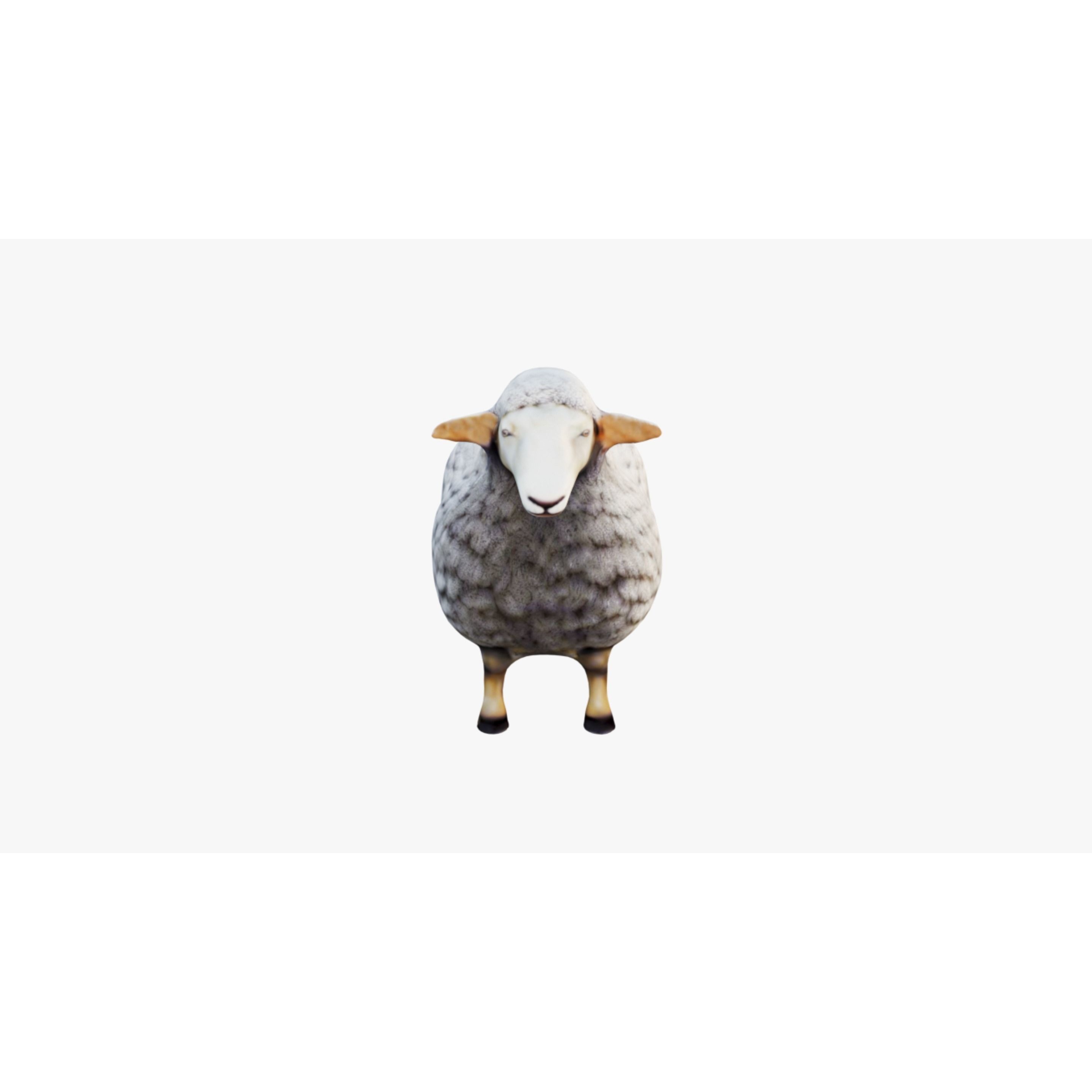 Sheep Free 3D model 3