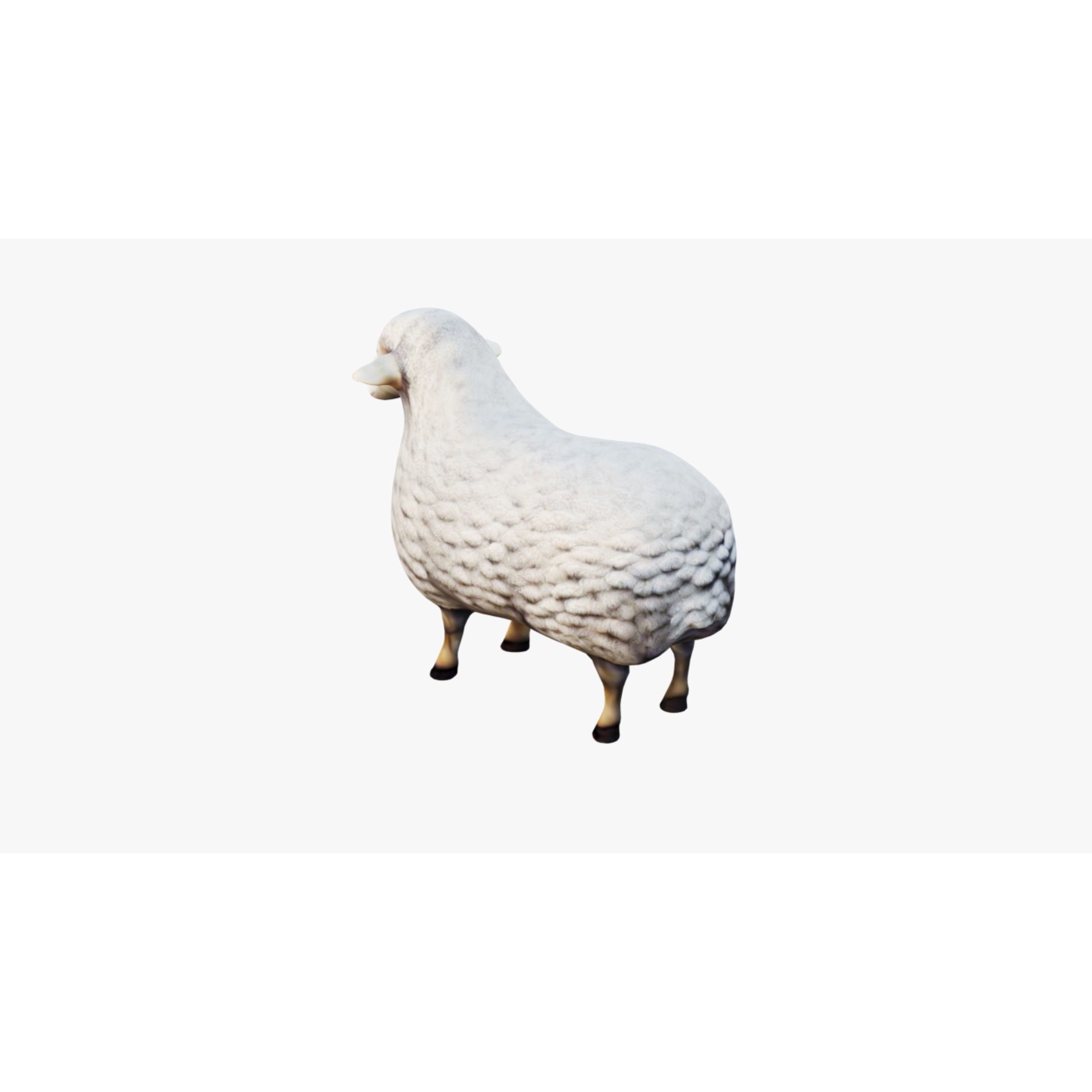 Sheep Free 3D model 4