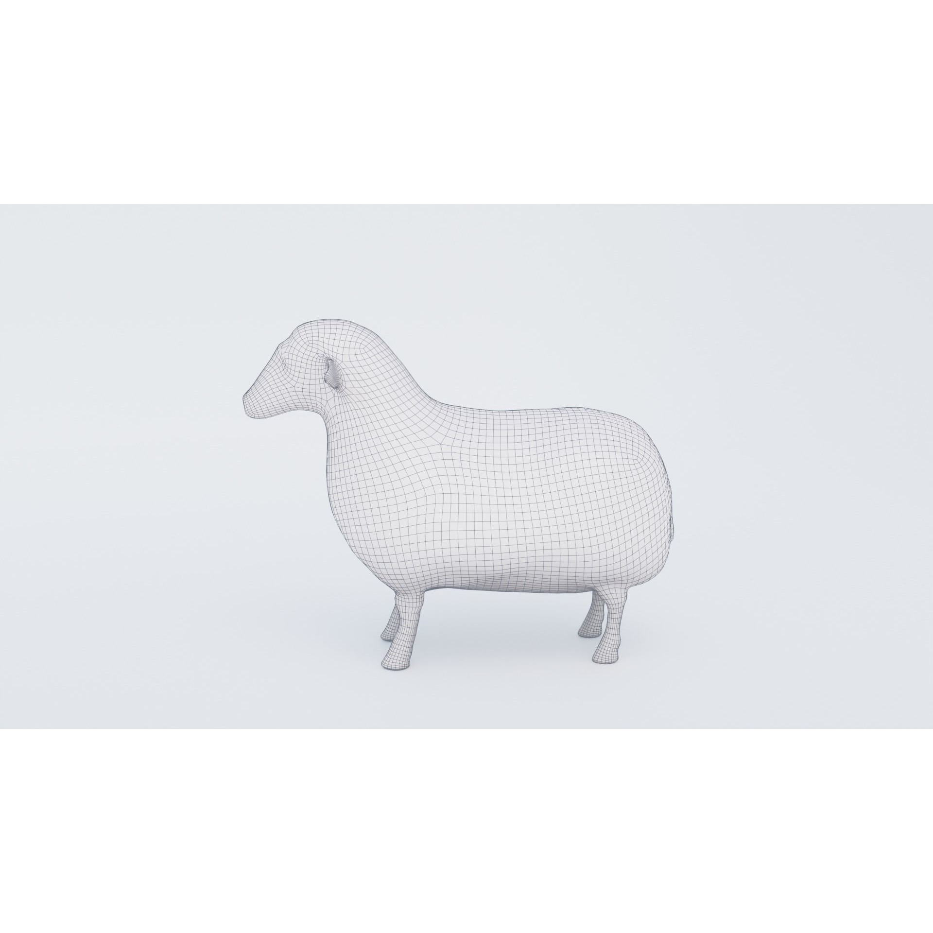 Sheep Free 3D model 7