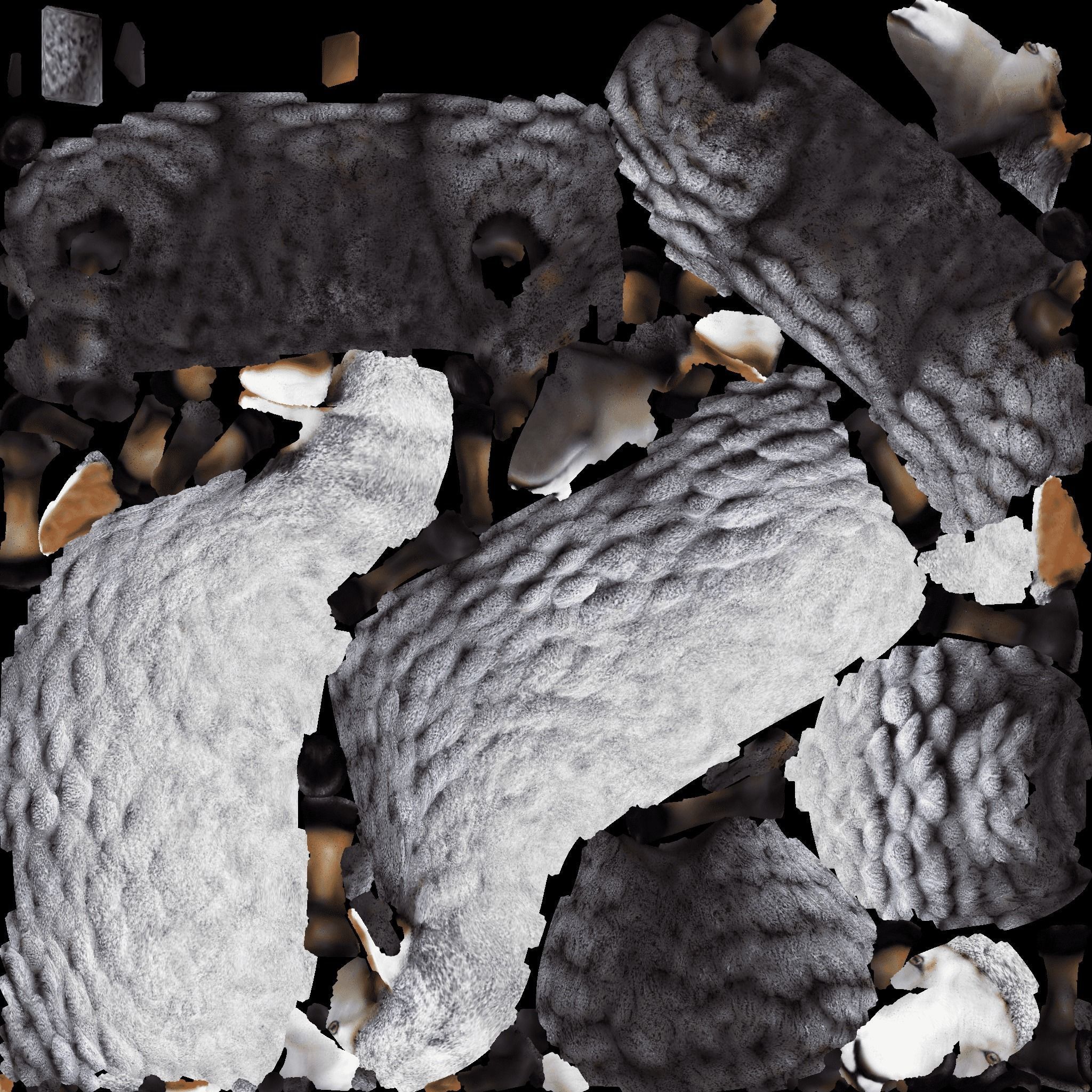 Sheep Free 3D model 8