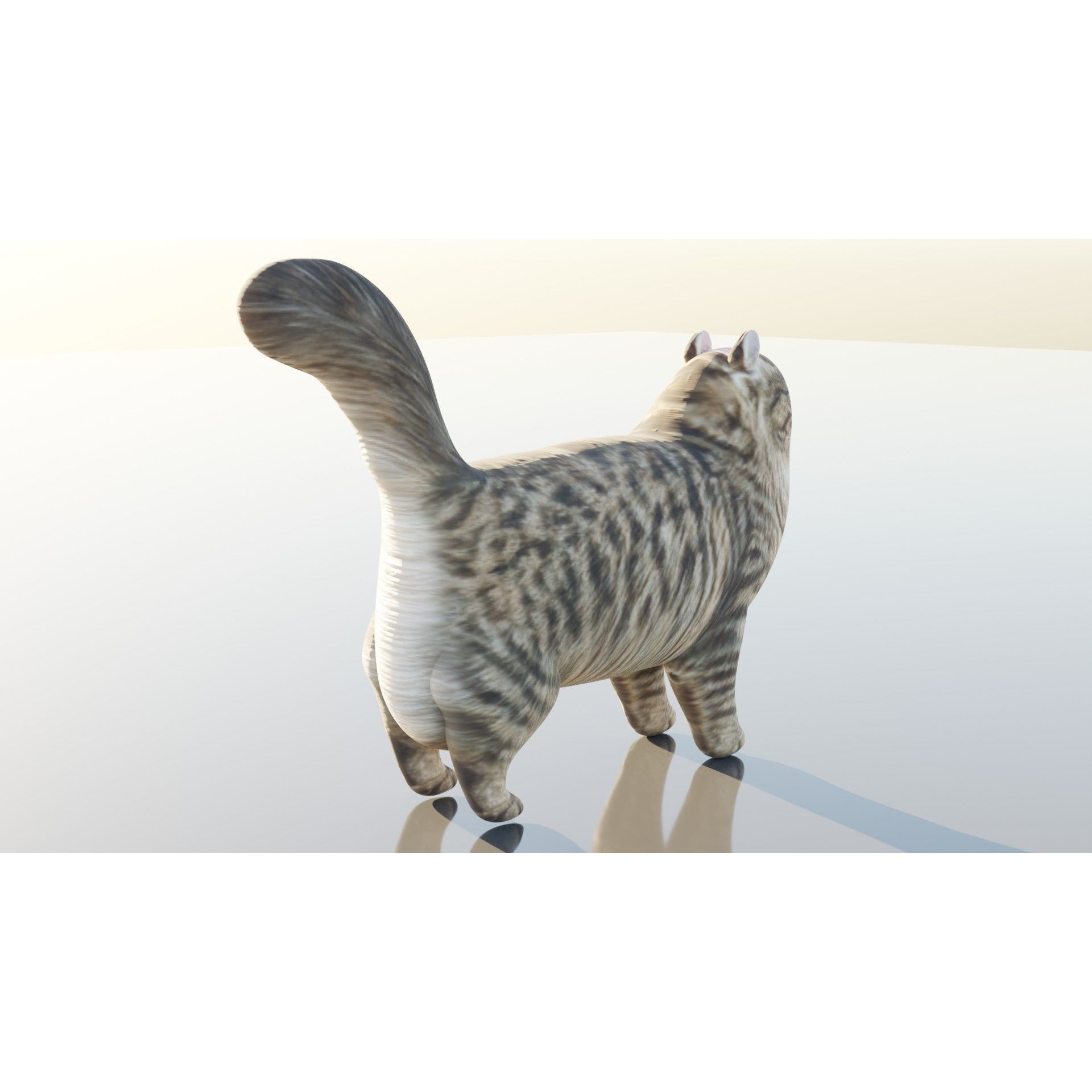 Siberian Cat Free 3D model 2