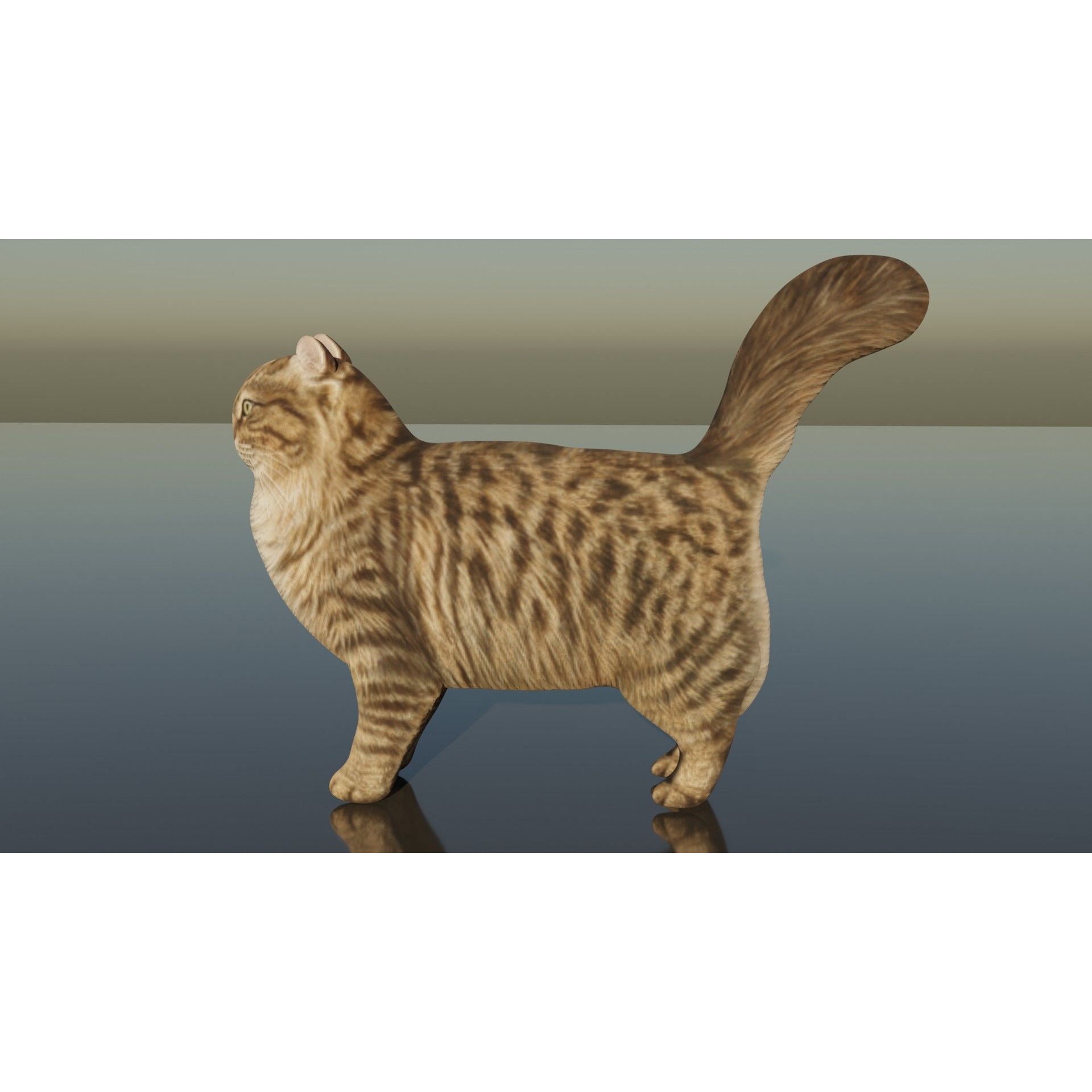 Siberian Cat Free 3D model 3
