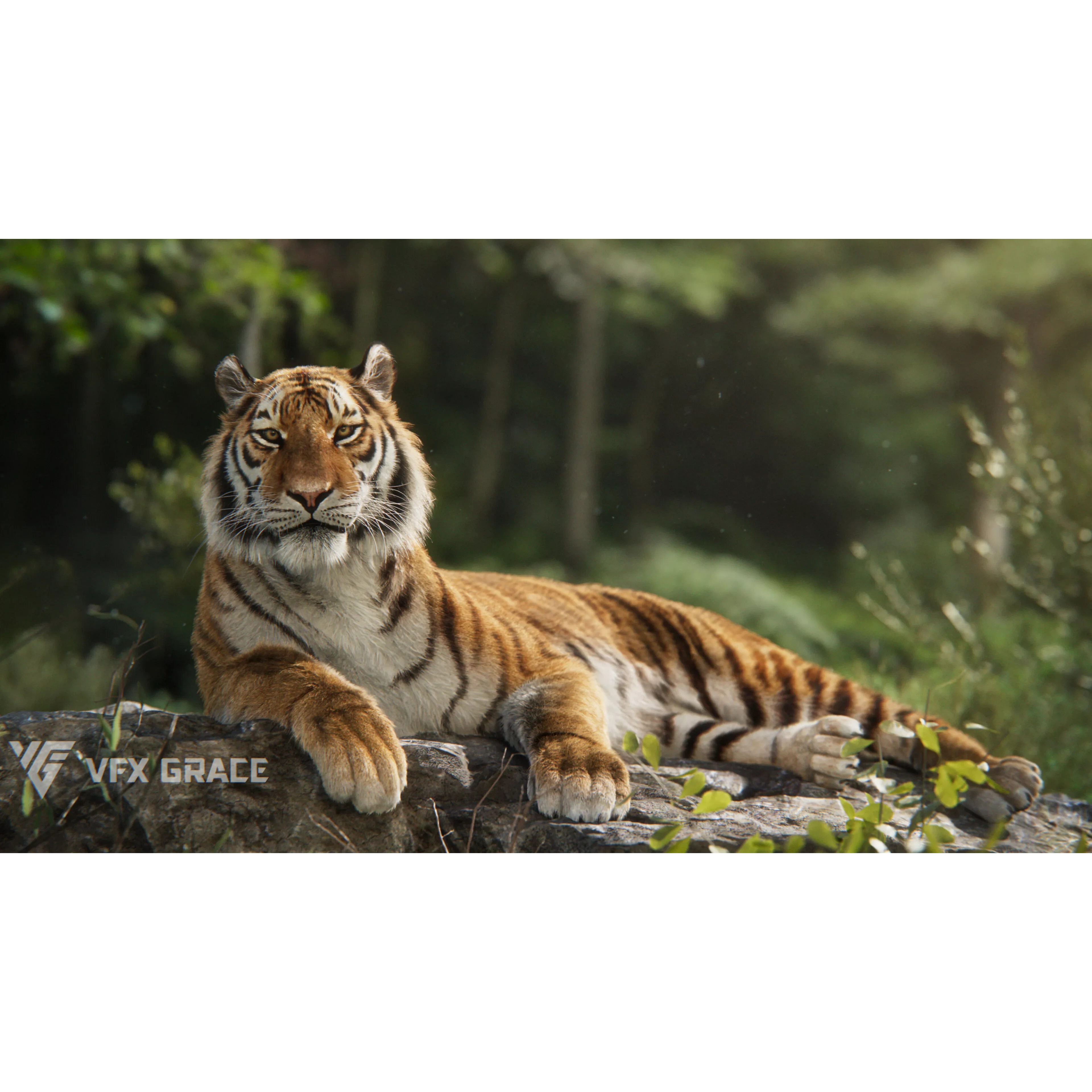 Siberian Tiger Animated VFX Grace 3D model 4