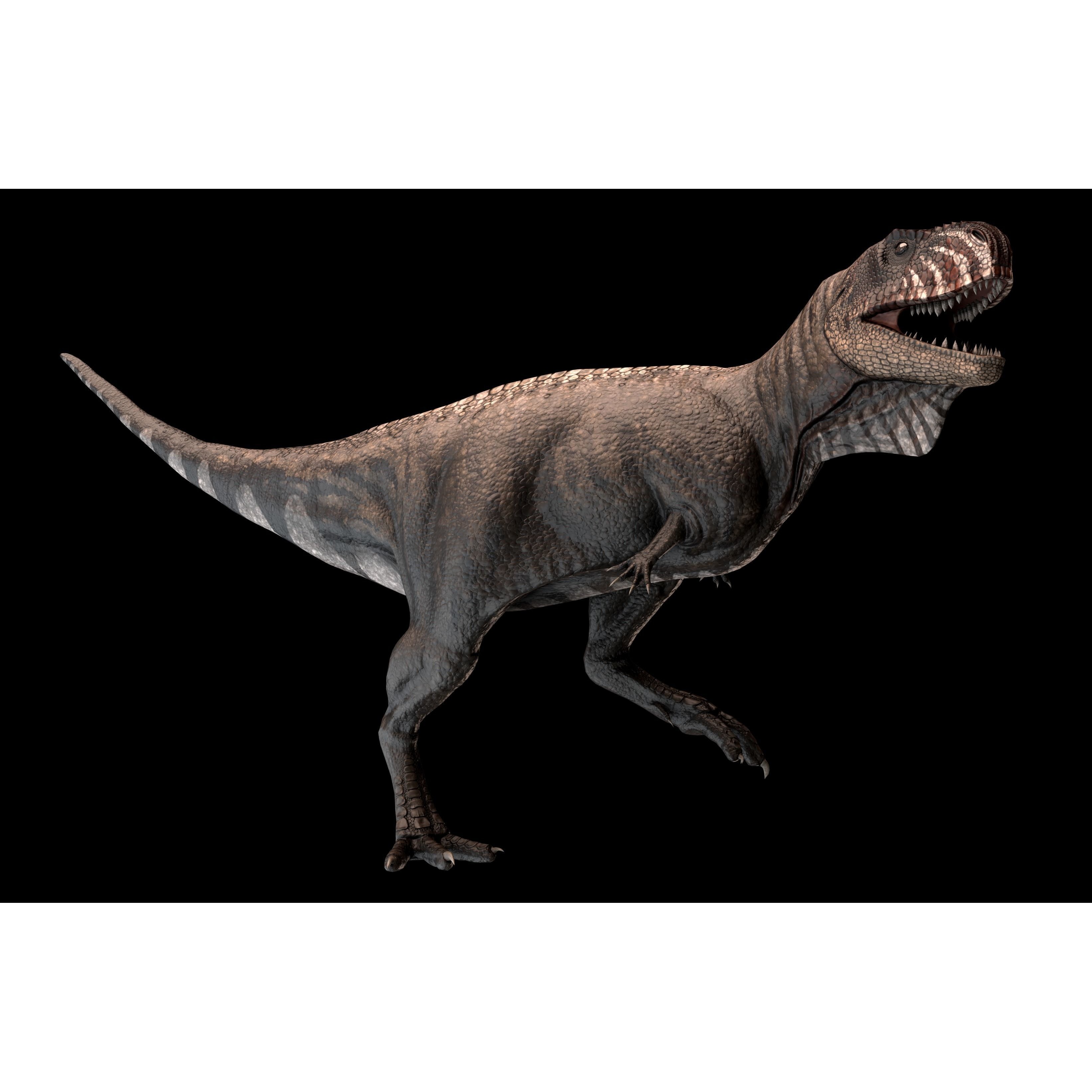Skorpiovenator Dinosaur Asset Pack Low-poly 3D model 2