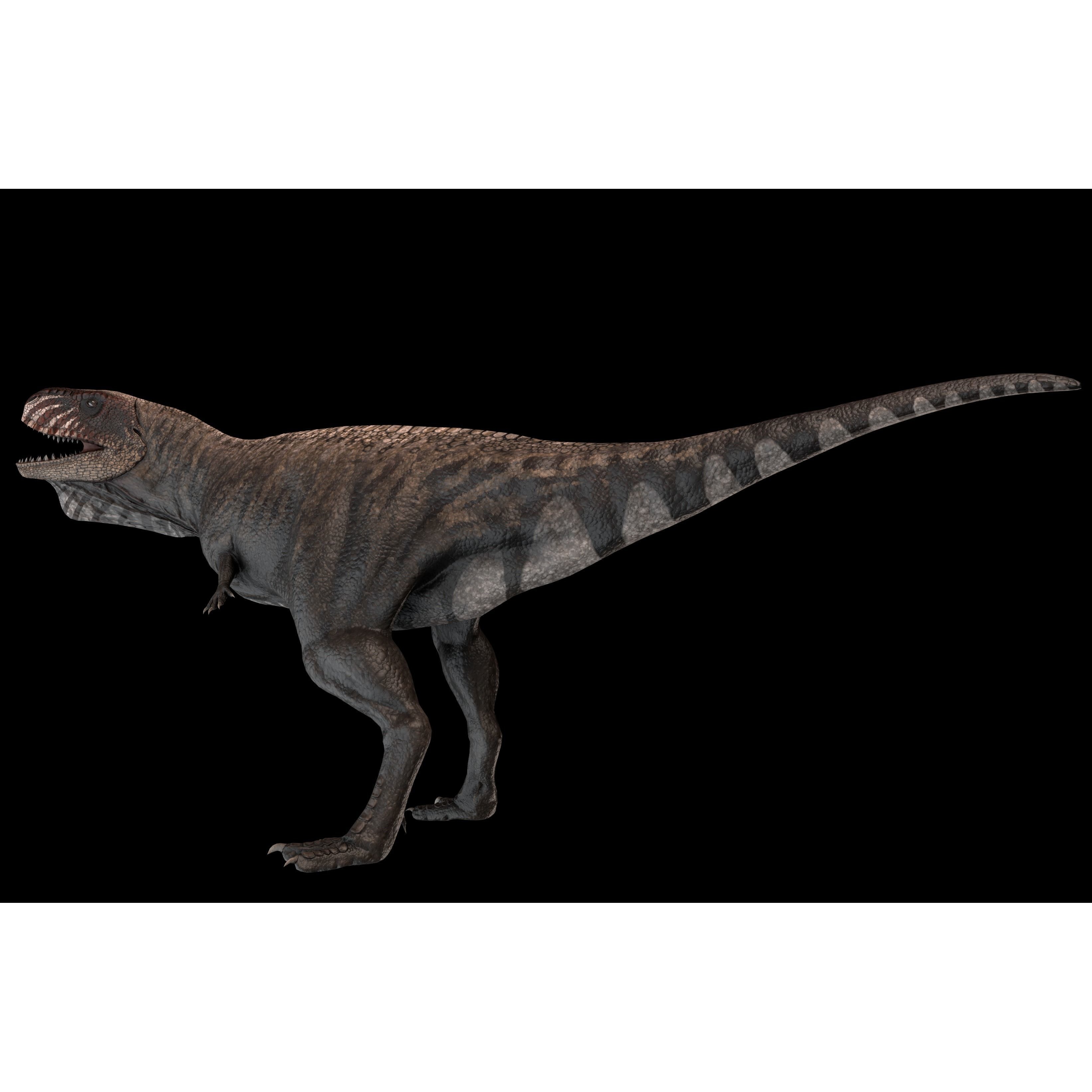 Skorpiovenator Dinosaur Asset Pack Low-poly 3D model 4