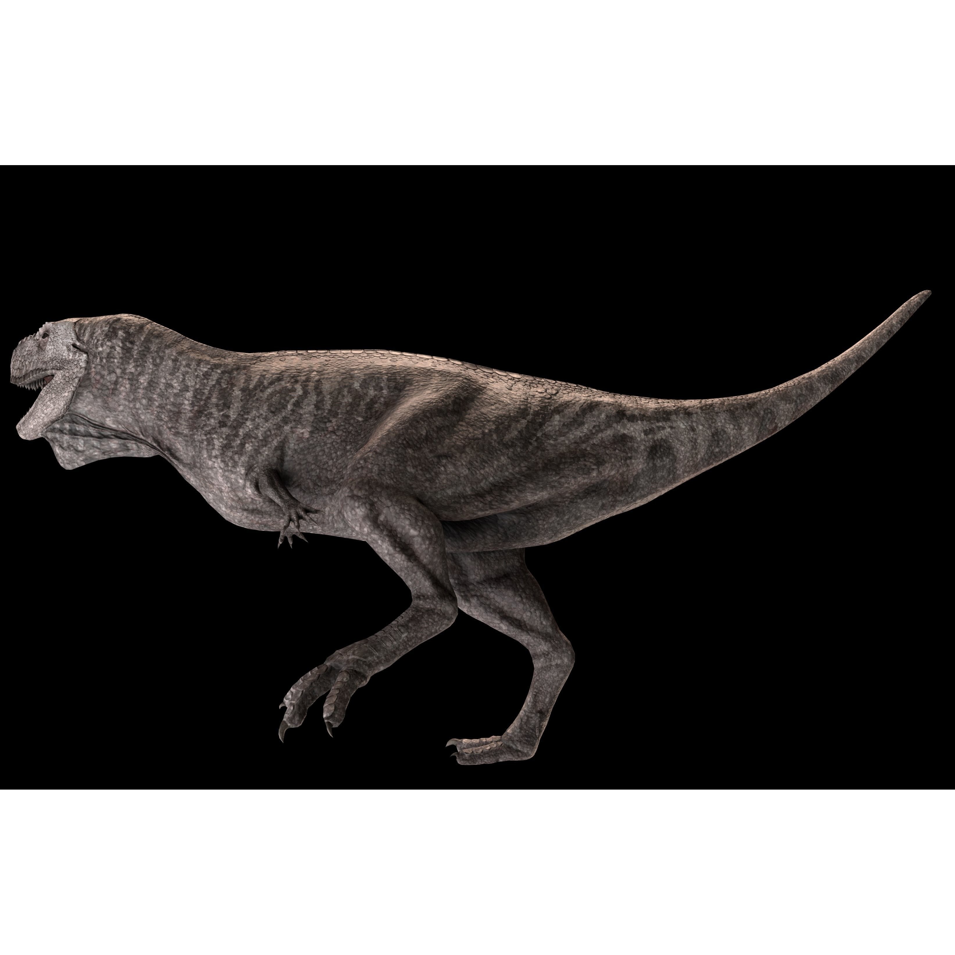 Skorpiovenator Dinosaur Asset Pack Low-poly 3D model 5