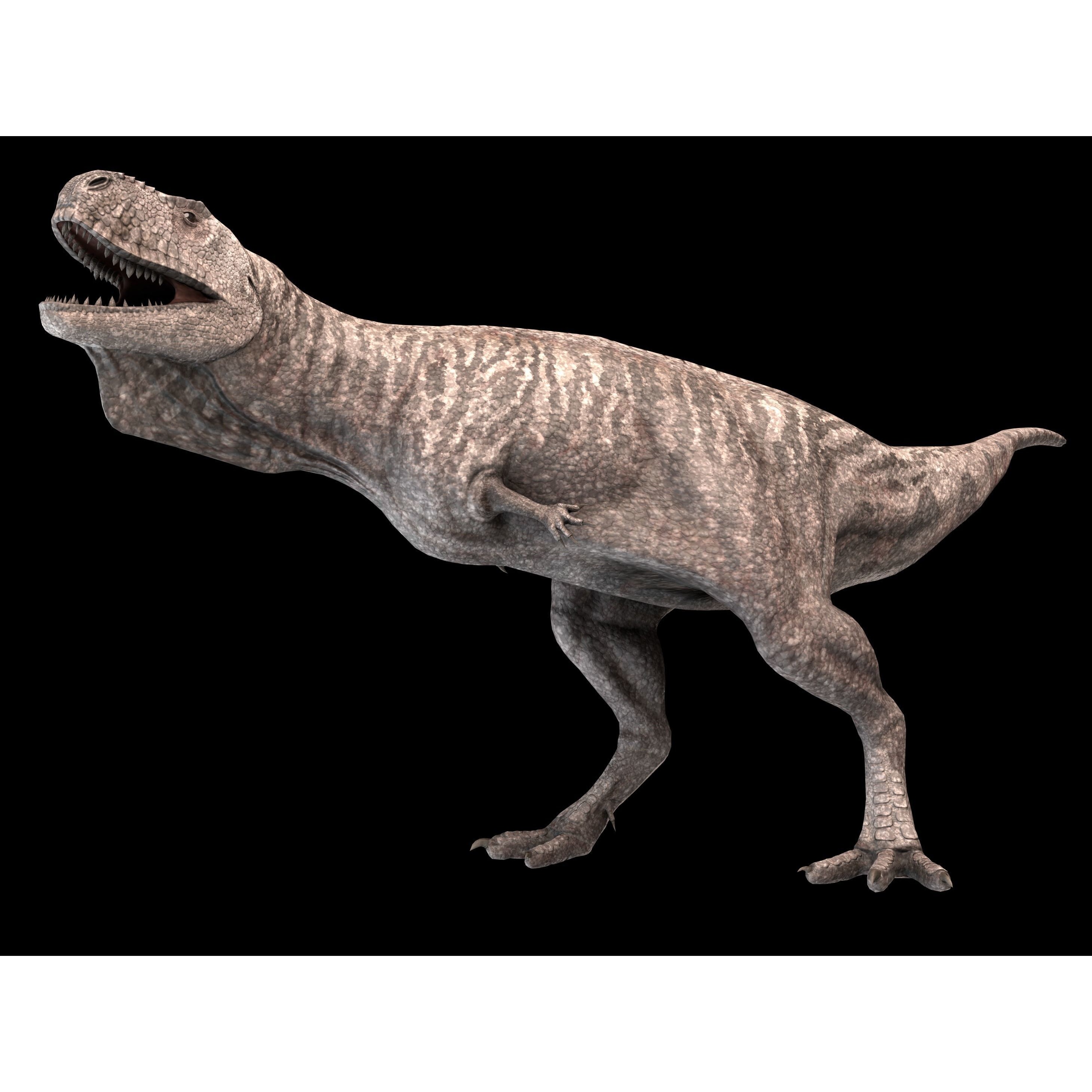 Skorpiovenator Dinosaur Asset Pack Low-poly 3D model 6