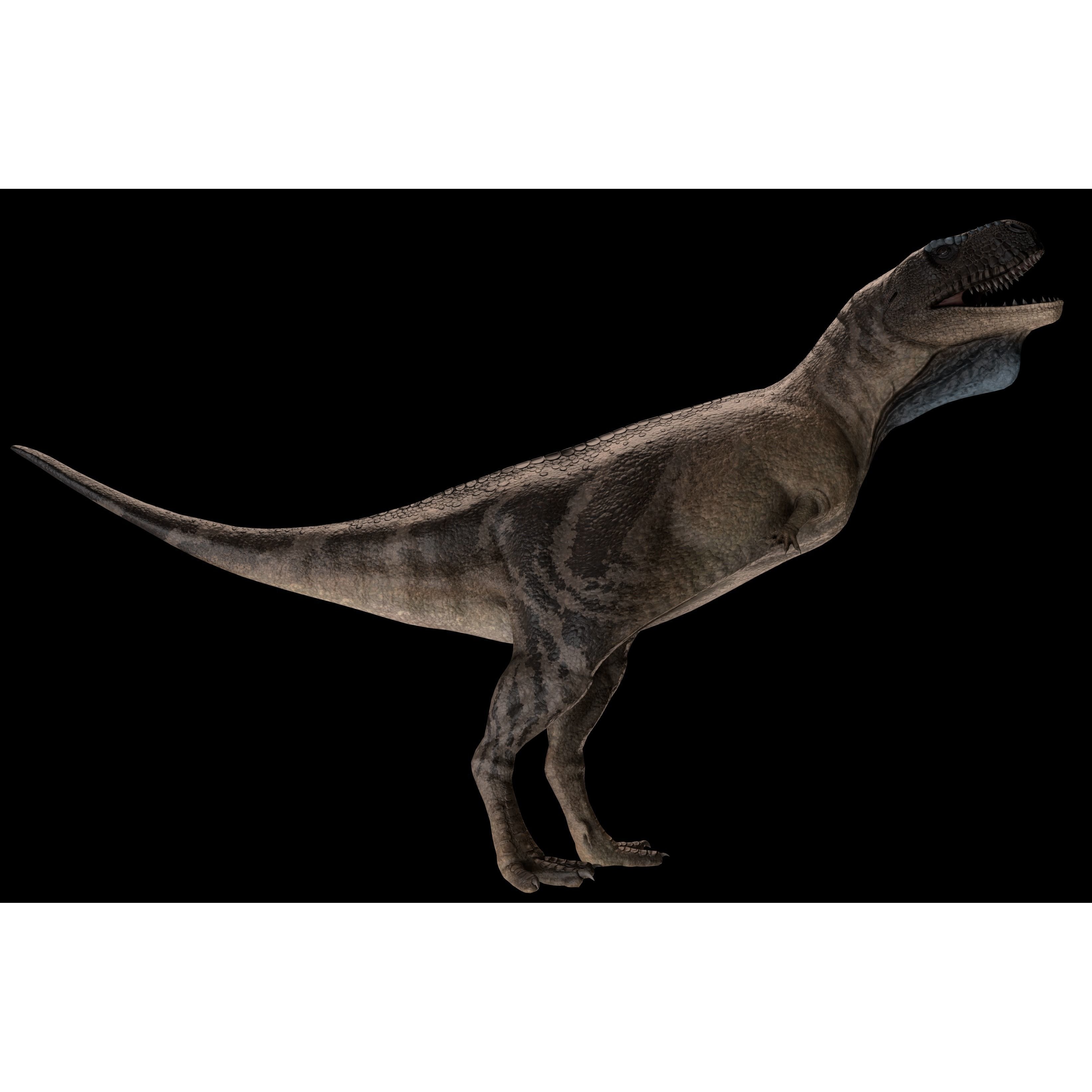 Skorpiovenator Dinosaur Asset Pack Low-poly 3D model 7