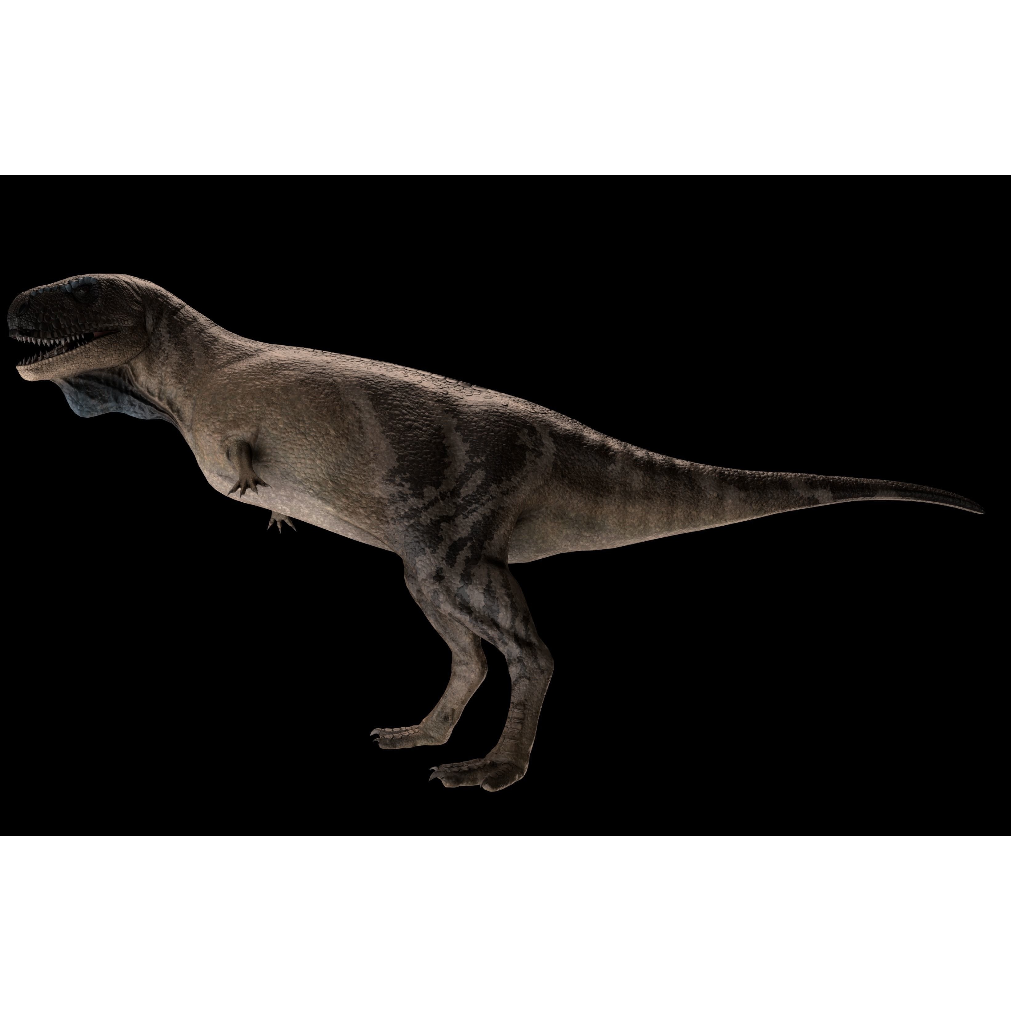Skorpiovenator Dinosaur Asset Pack Low-poly 3D model 8