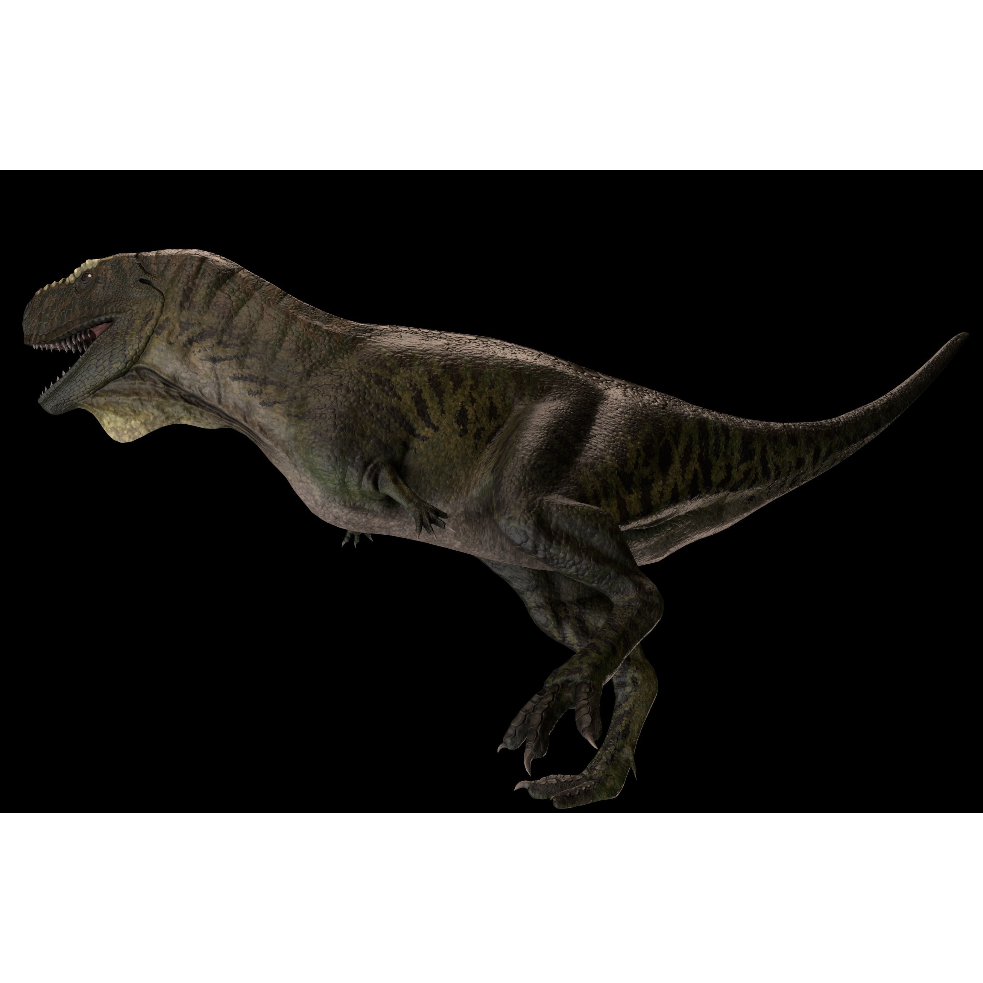 Skorpiovenator Dinosaur Asset Pack Low-poly 3D model 9
