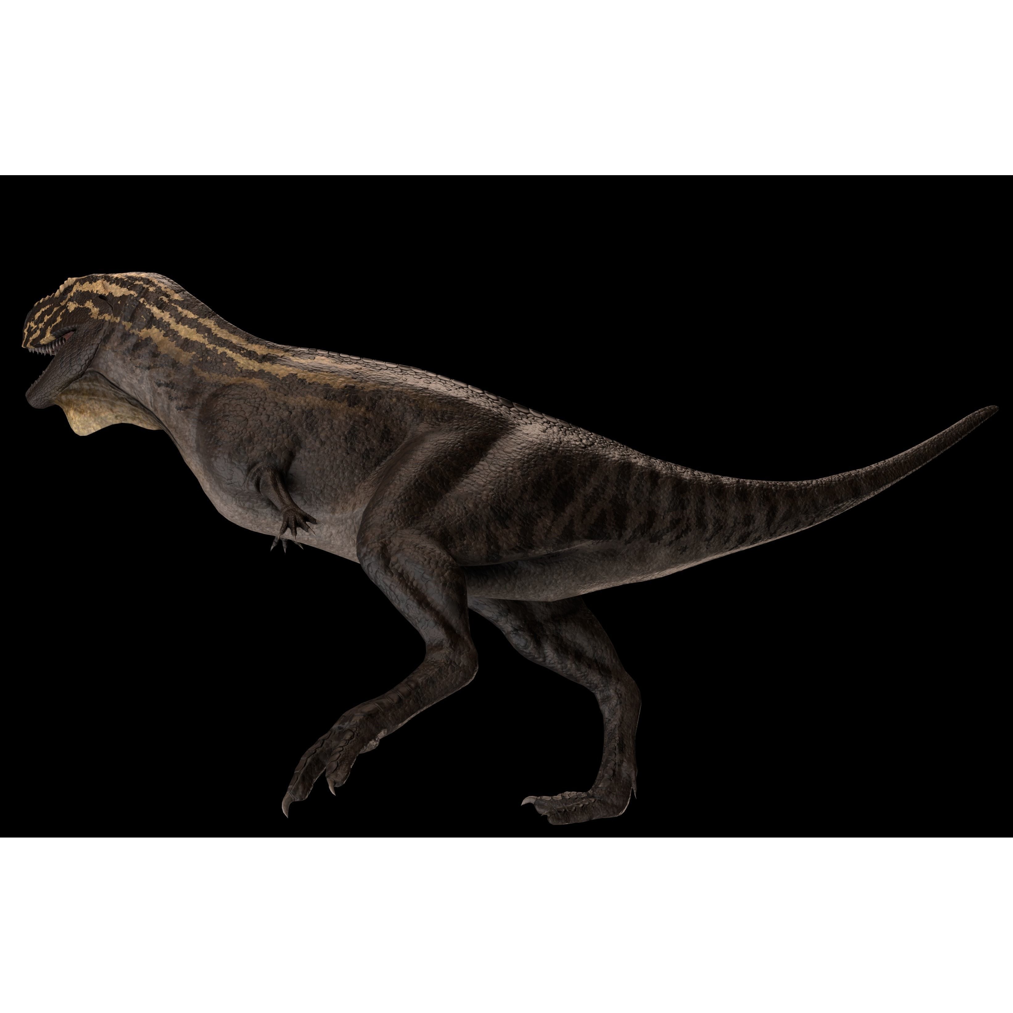 Skorpiovenator Dinosaur Asset Pack Low-poly 3D model 10