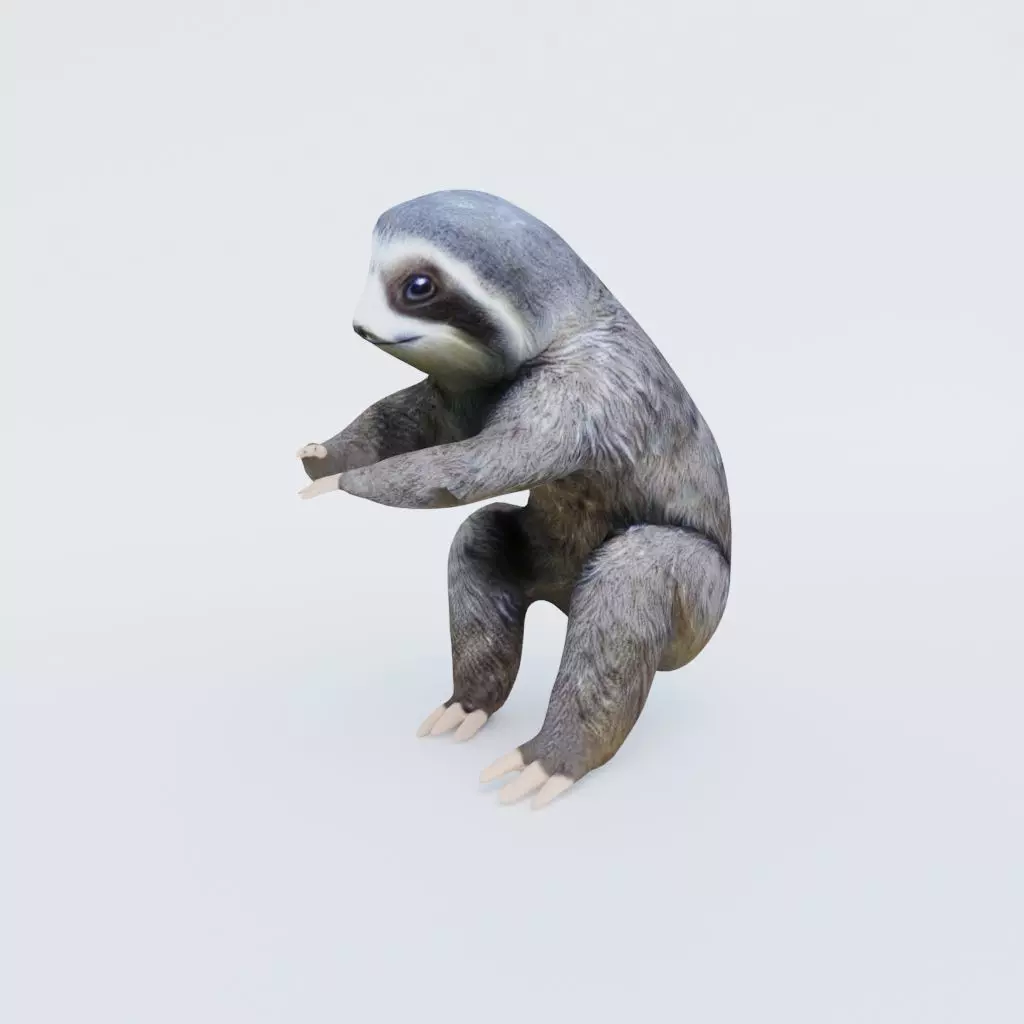 Sloth Free 3D model