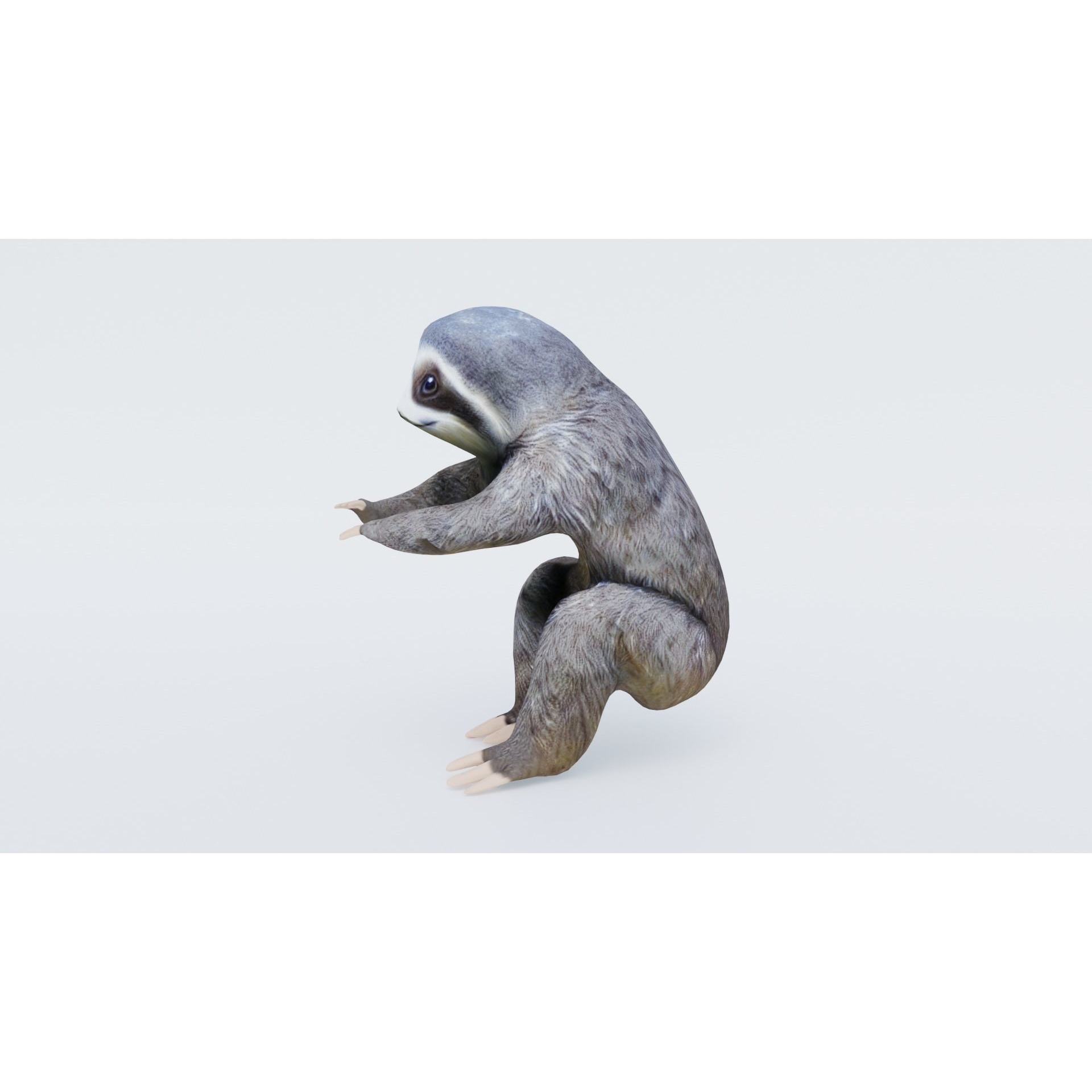 Sloth Free 3D model 2