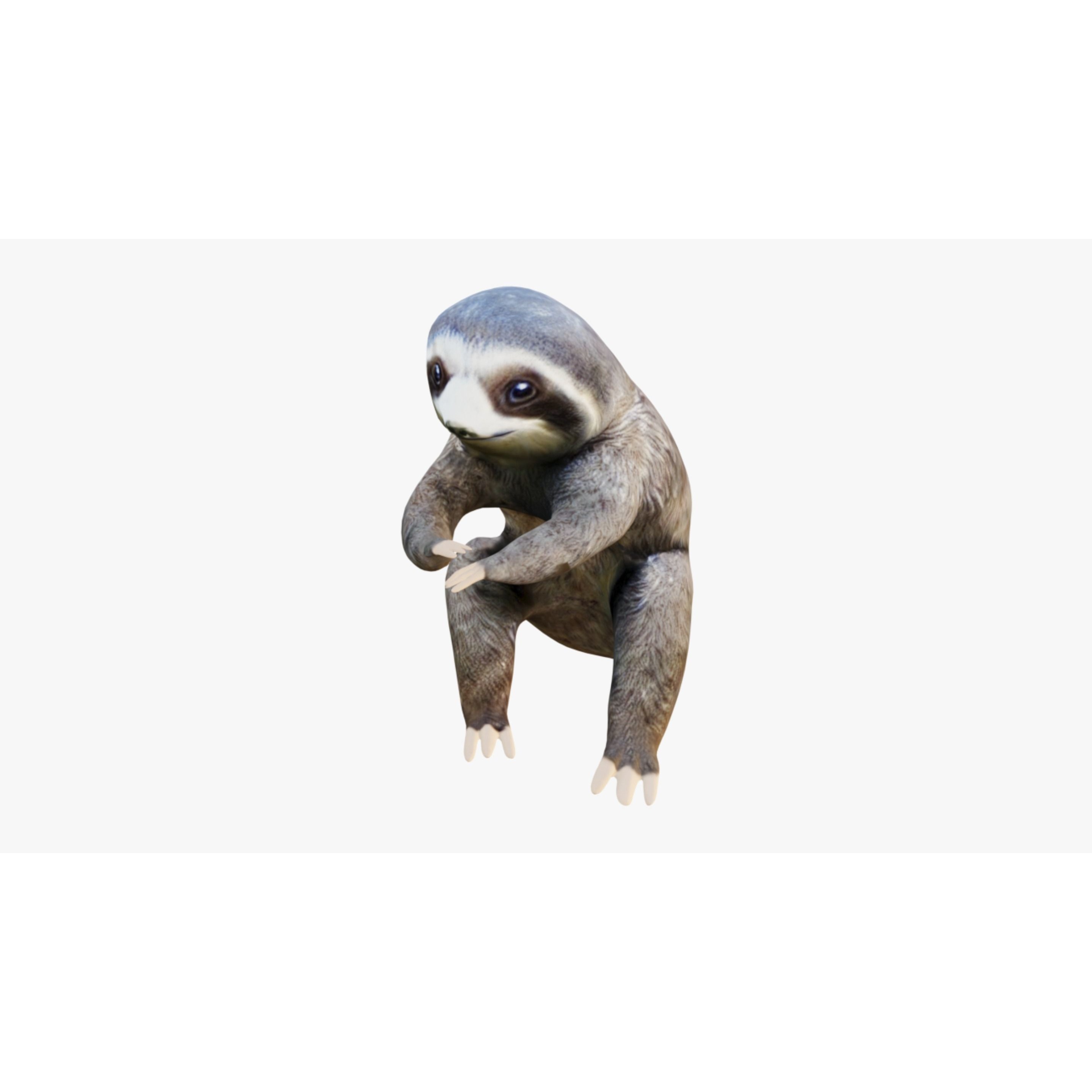 Sloth Free 3D model 3