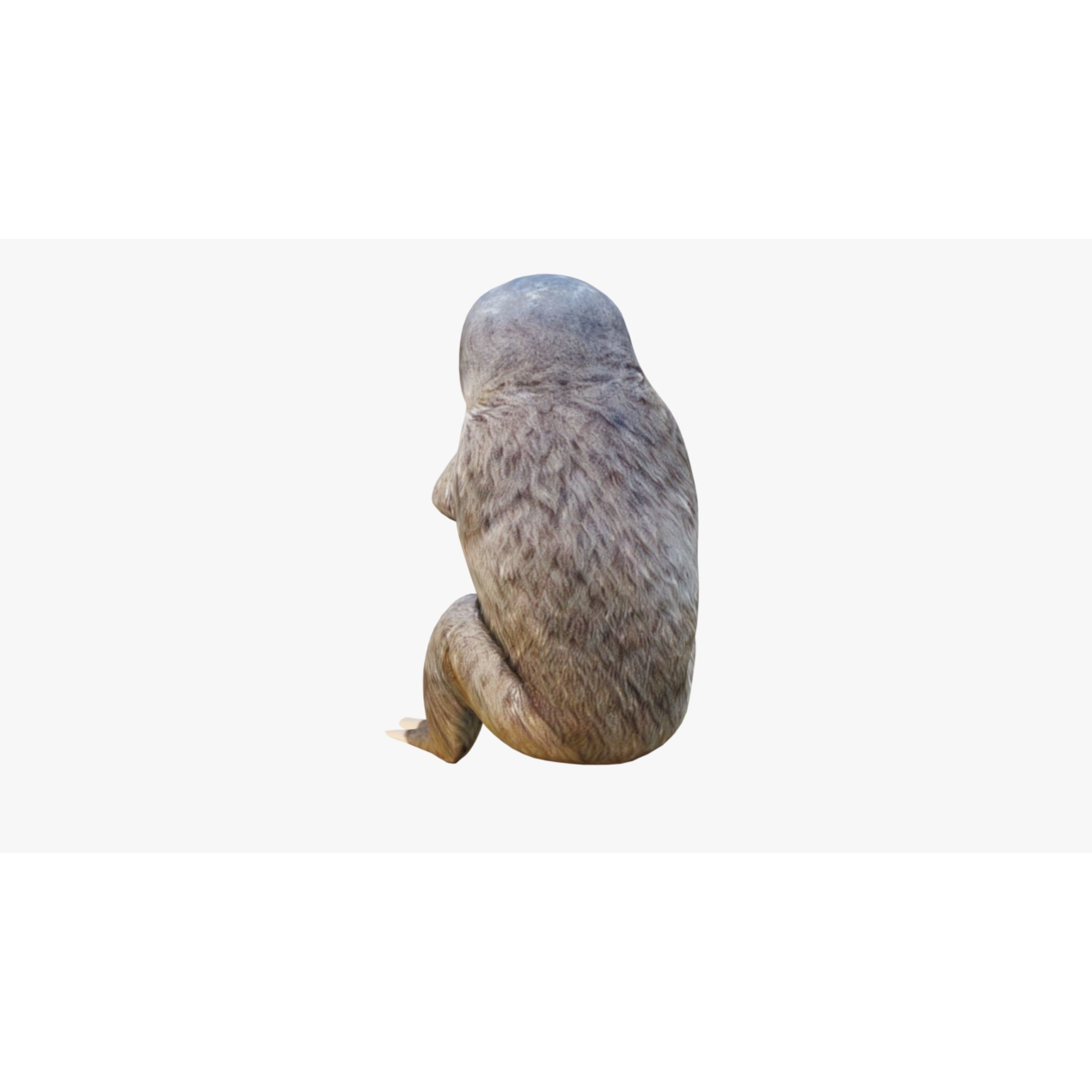 Sloth Free 3D model 4