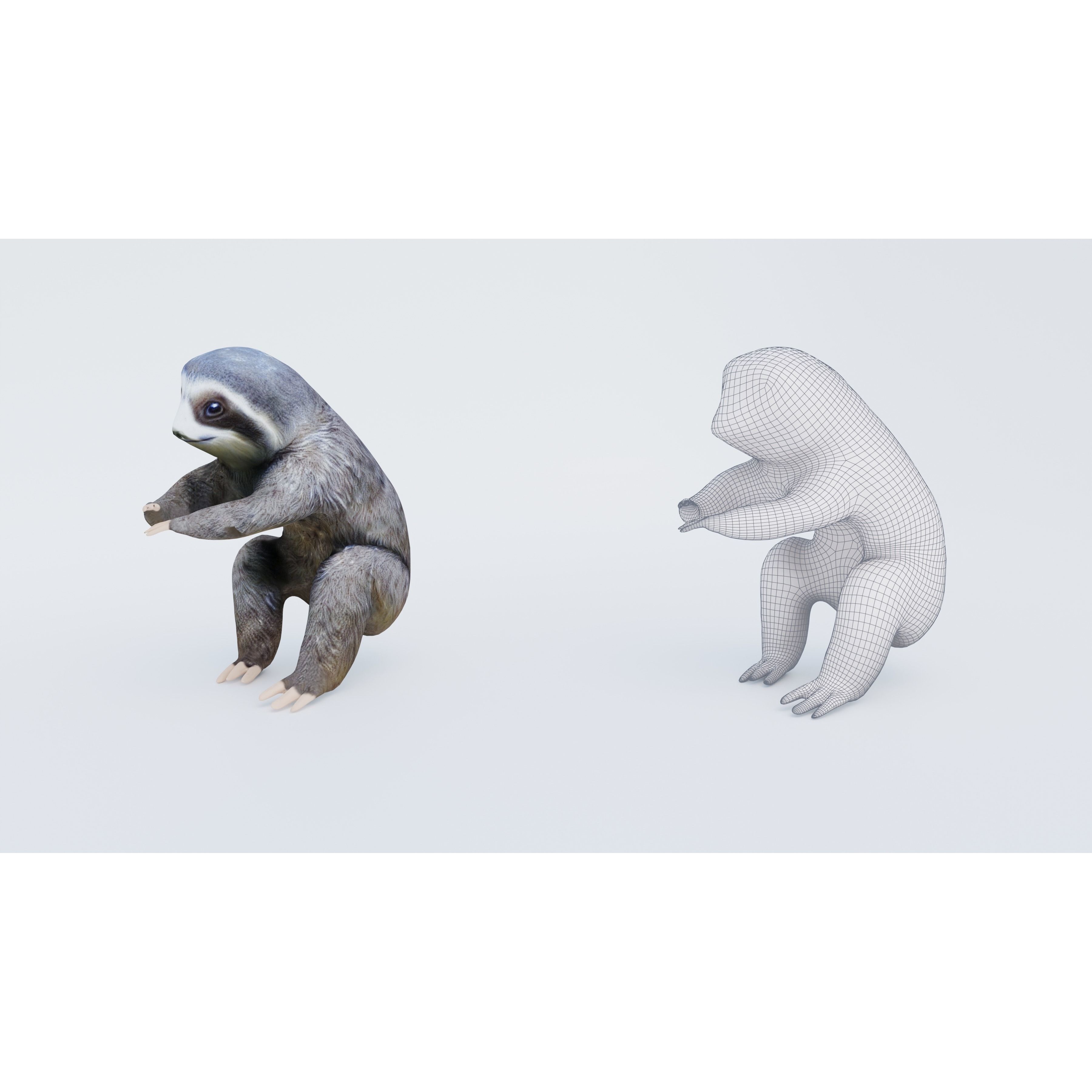 Sloth Free 3D model 6