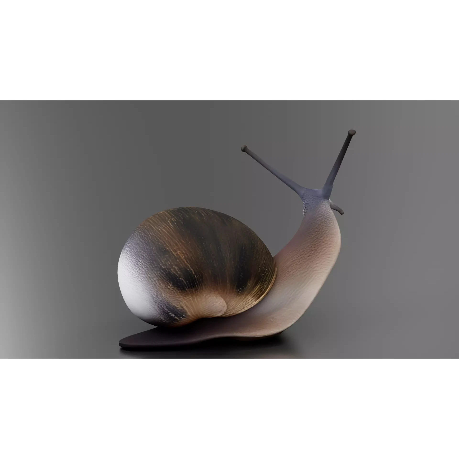 Snail 1 Low-poly 3D model 3