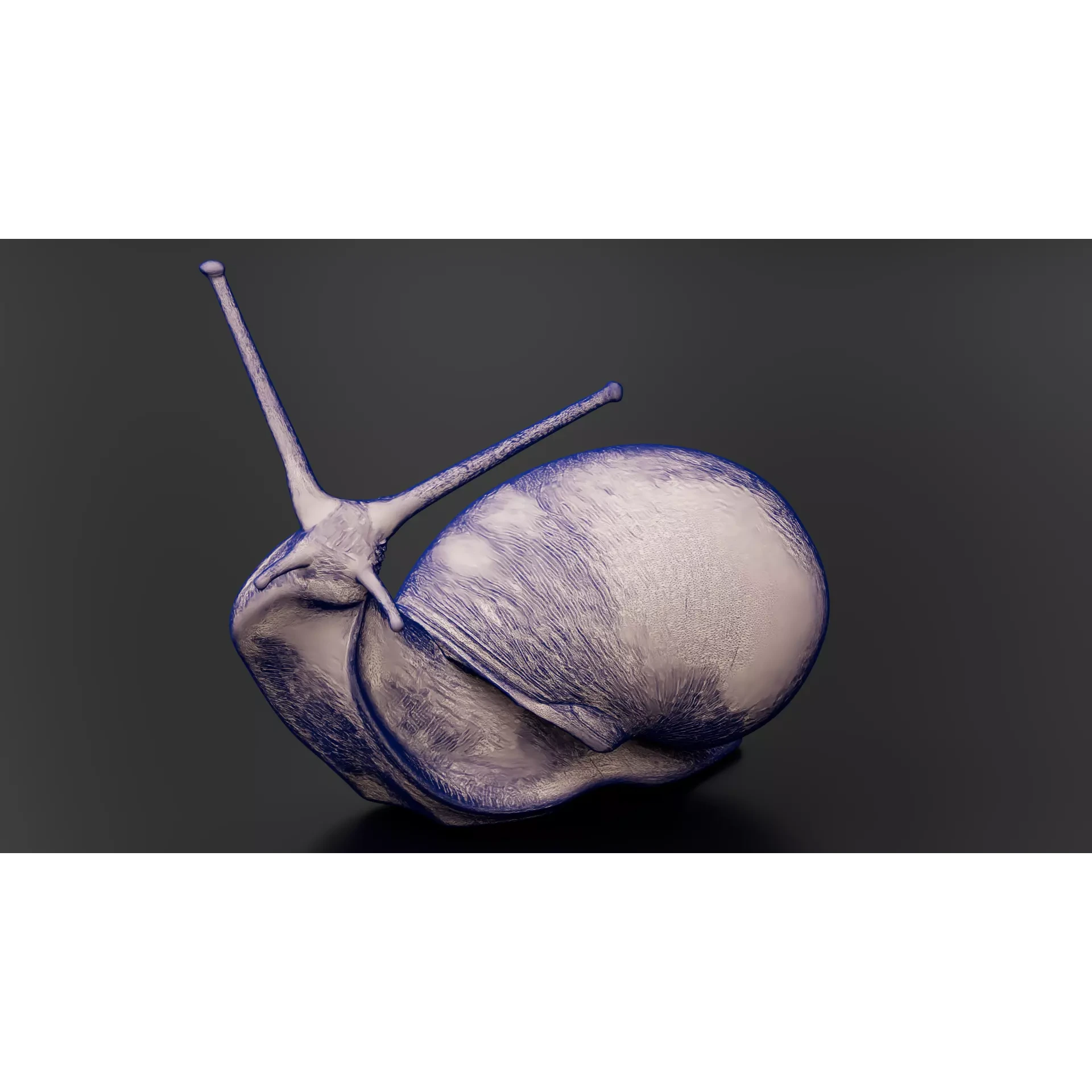 Snail 1 Low-poly 3D model 7