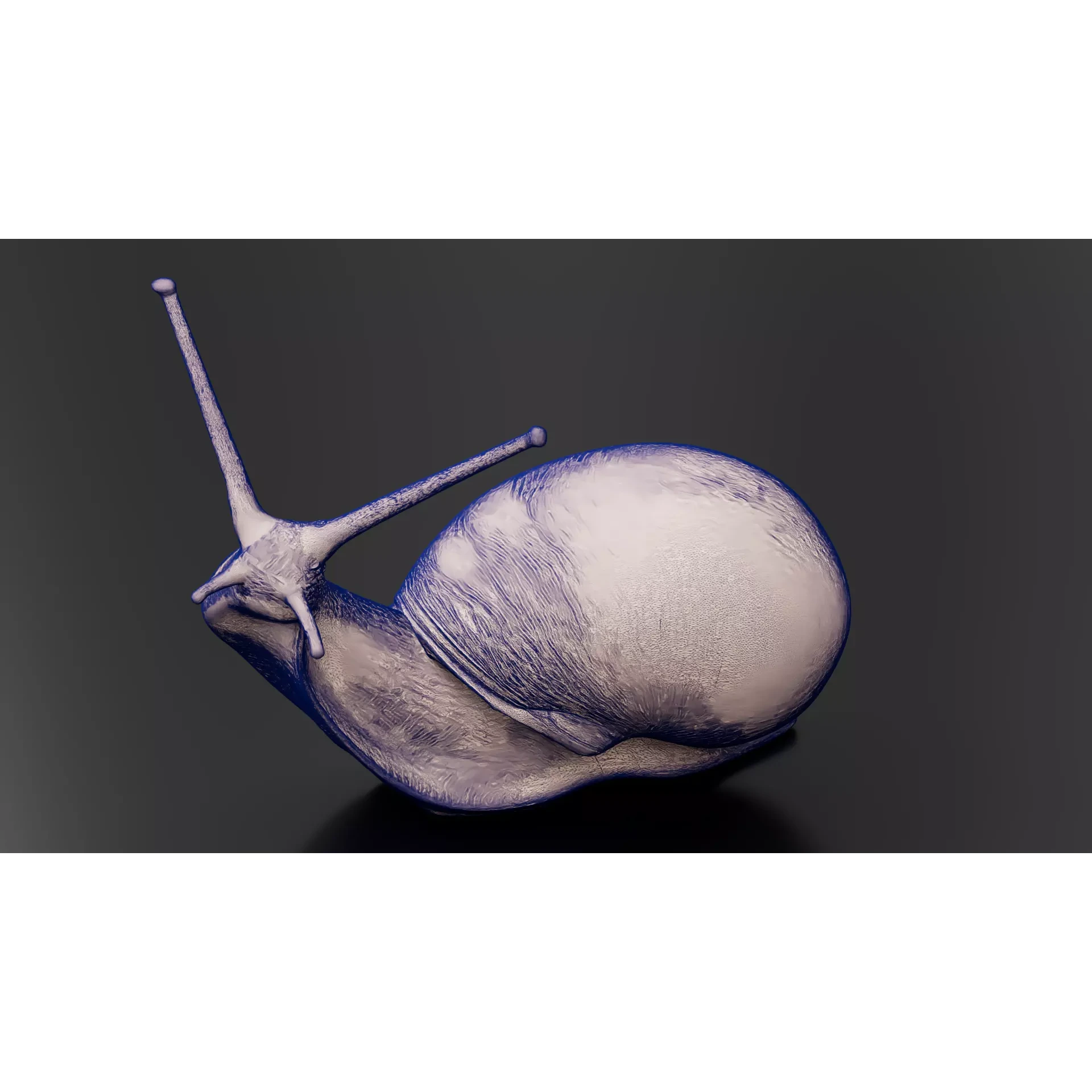 Snail 1 Low-poly 3D model 10