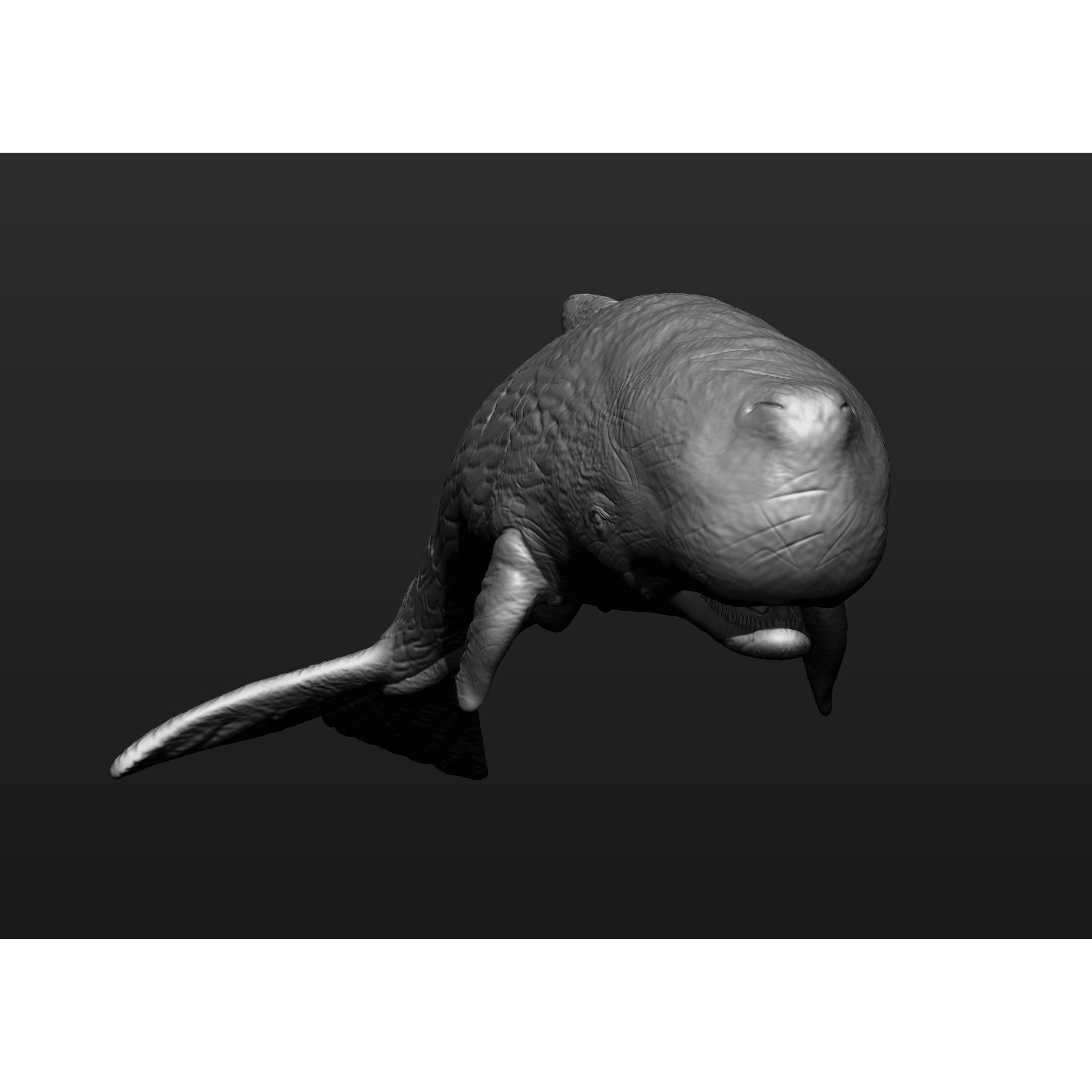 Sperm whale 3D print model 7