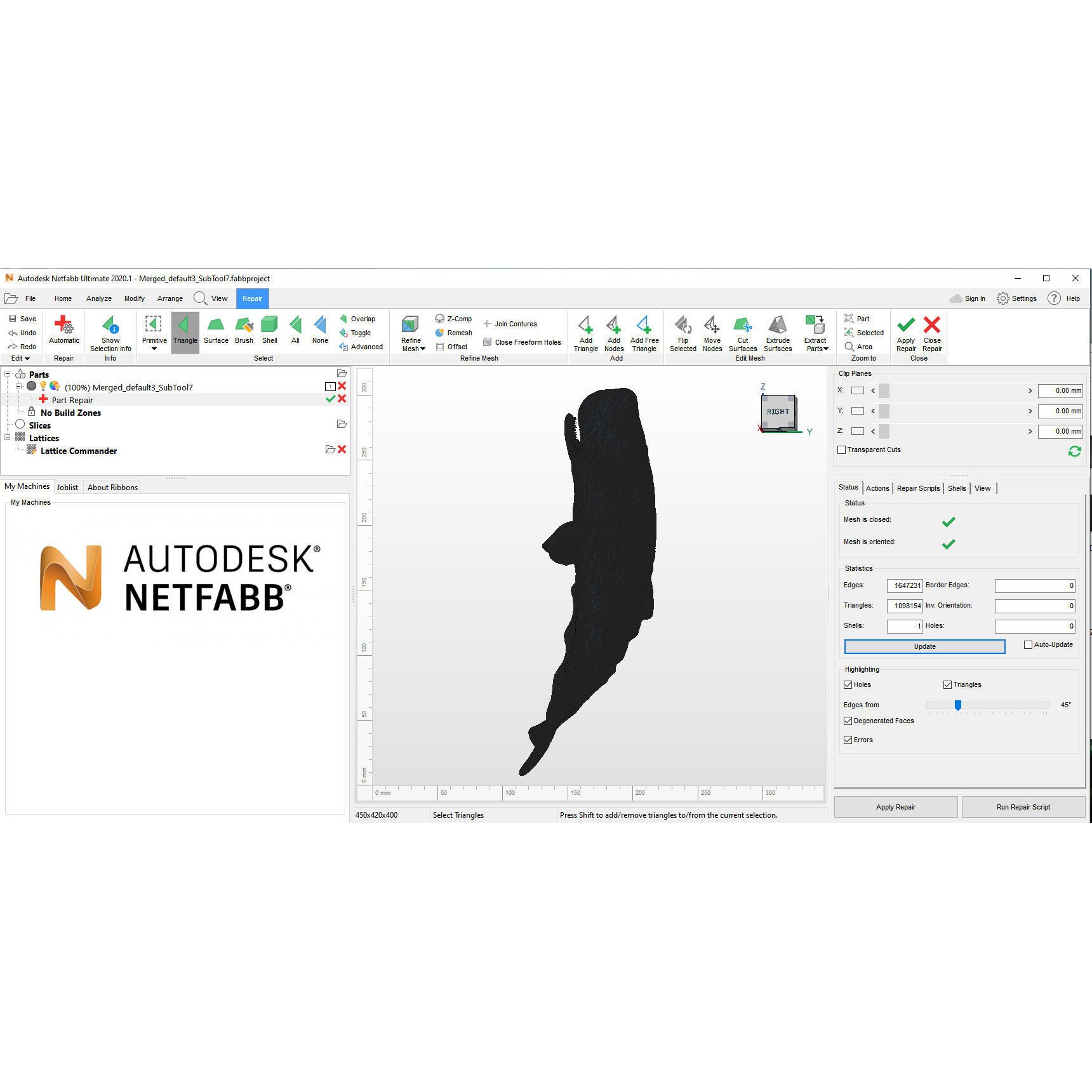 Sperm whale 3D print model 9