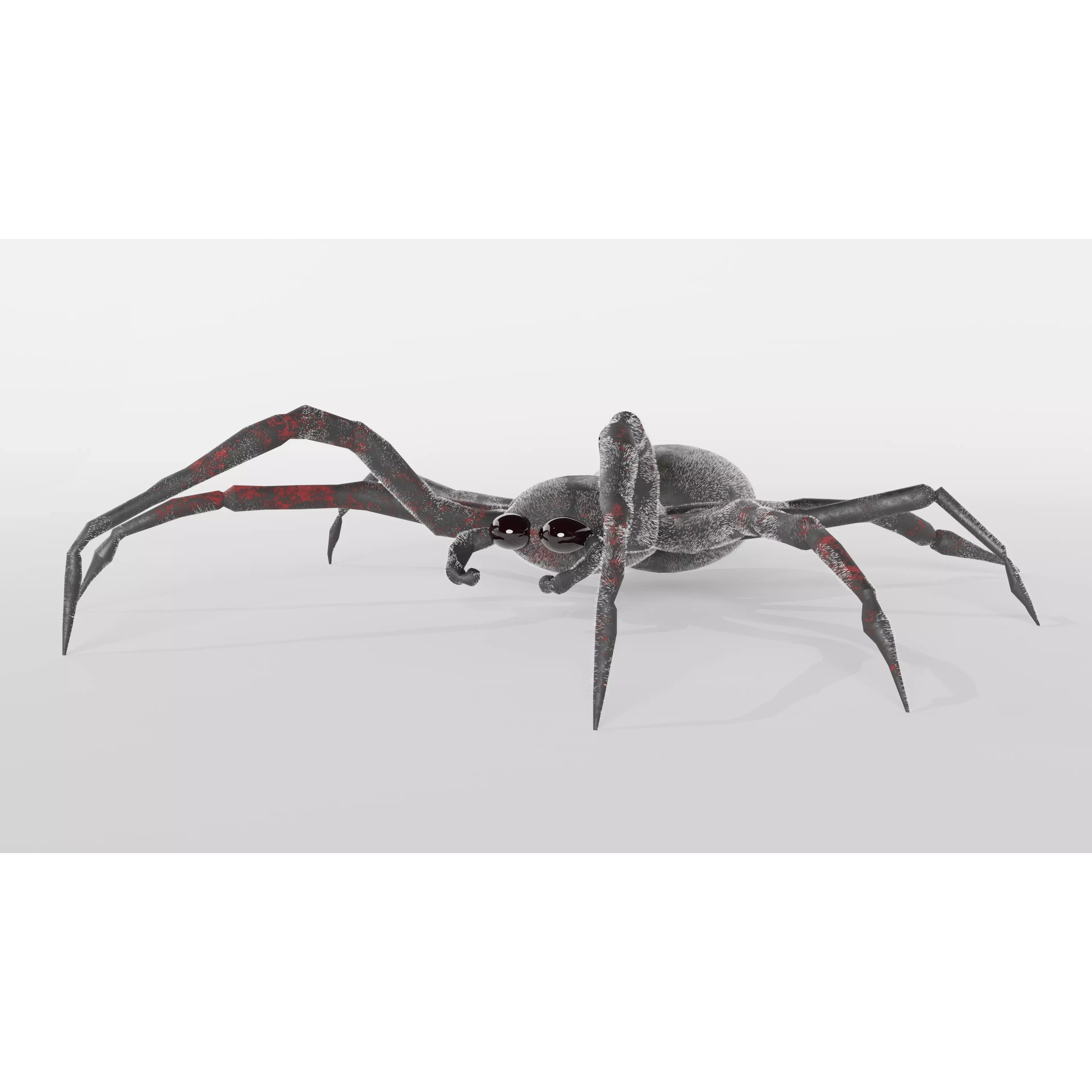 Spider Free low-poly 3D model