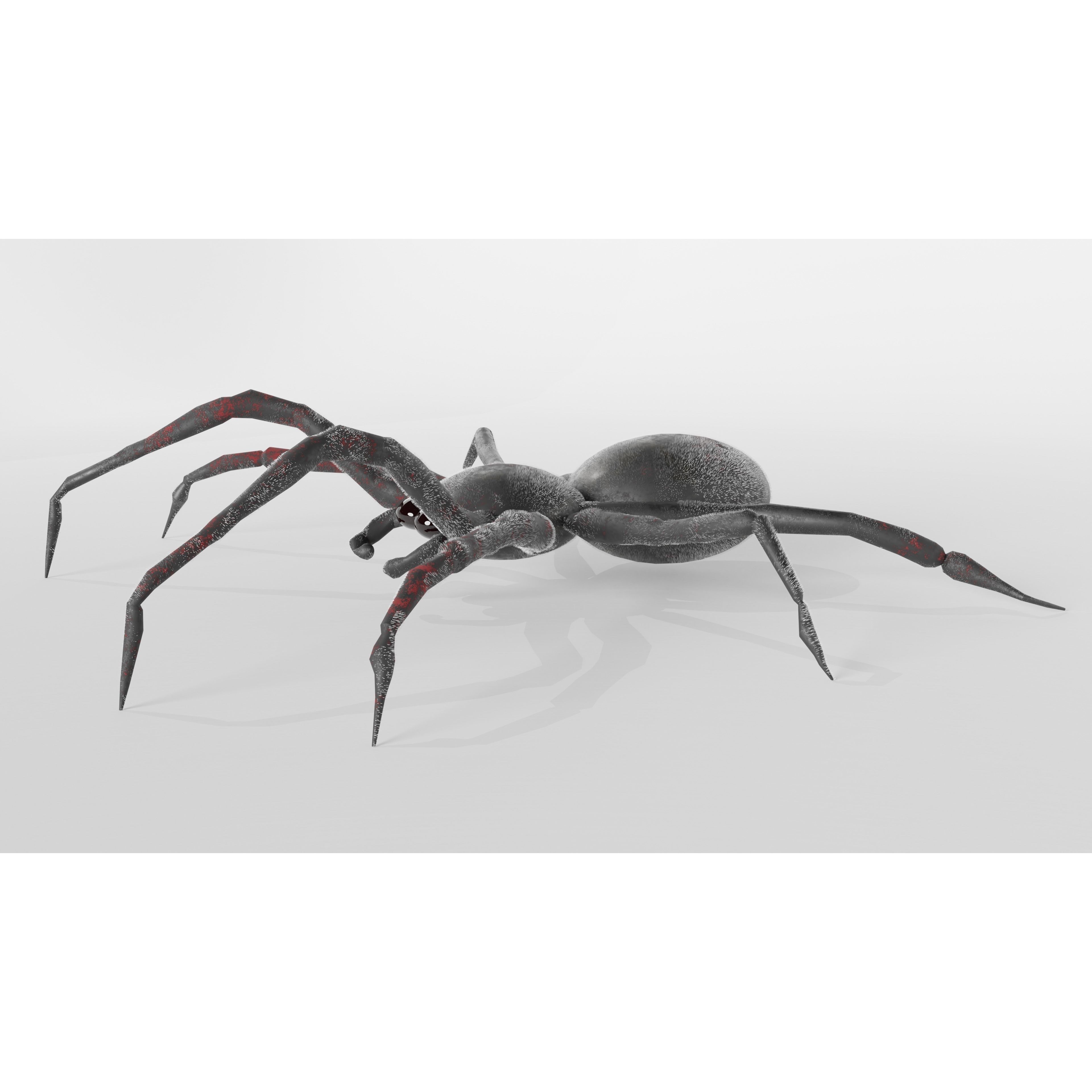 Spider Free low-poly 3D model 2