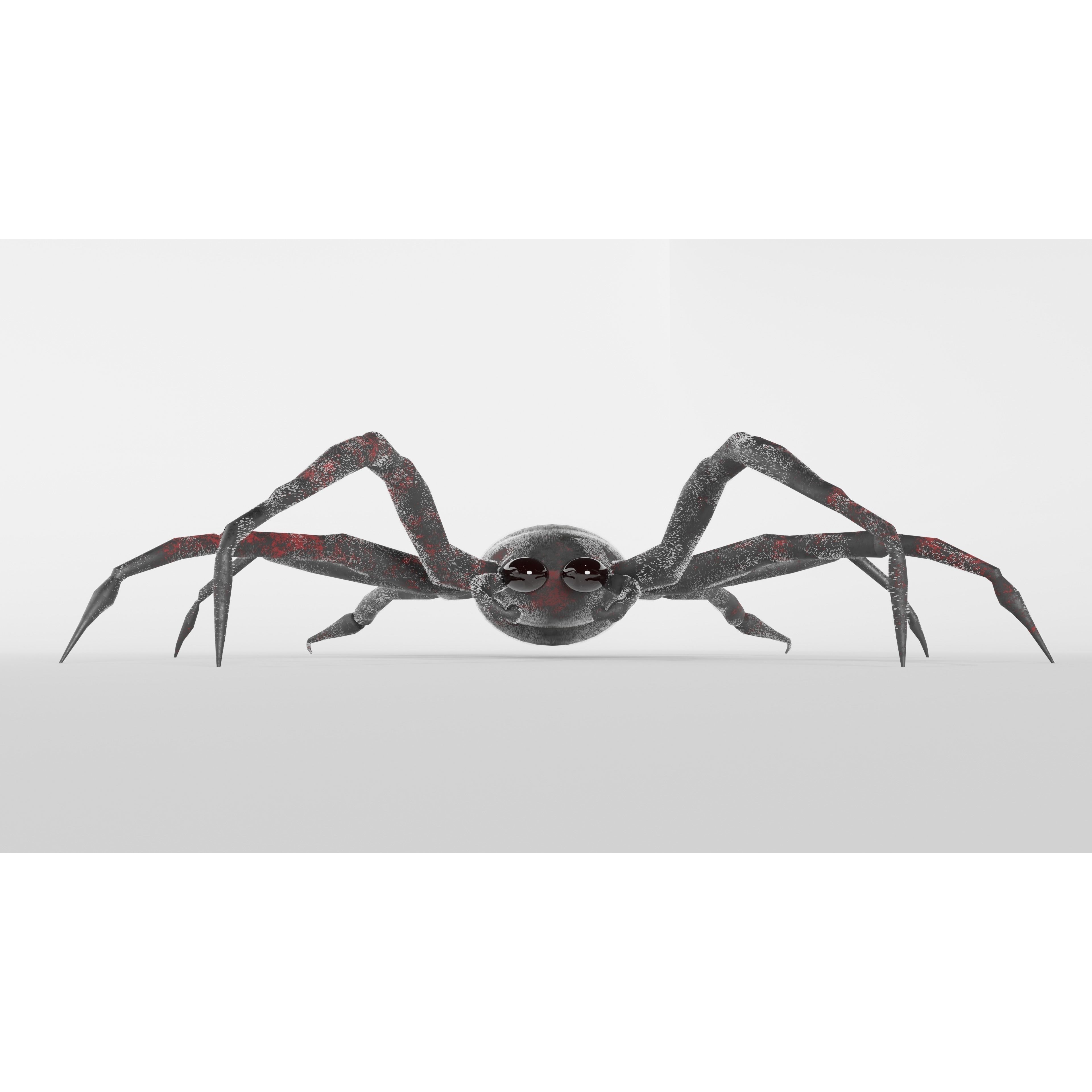 Spider Free low-poly 3D model 3