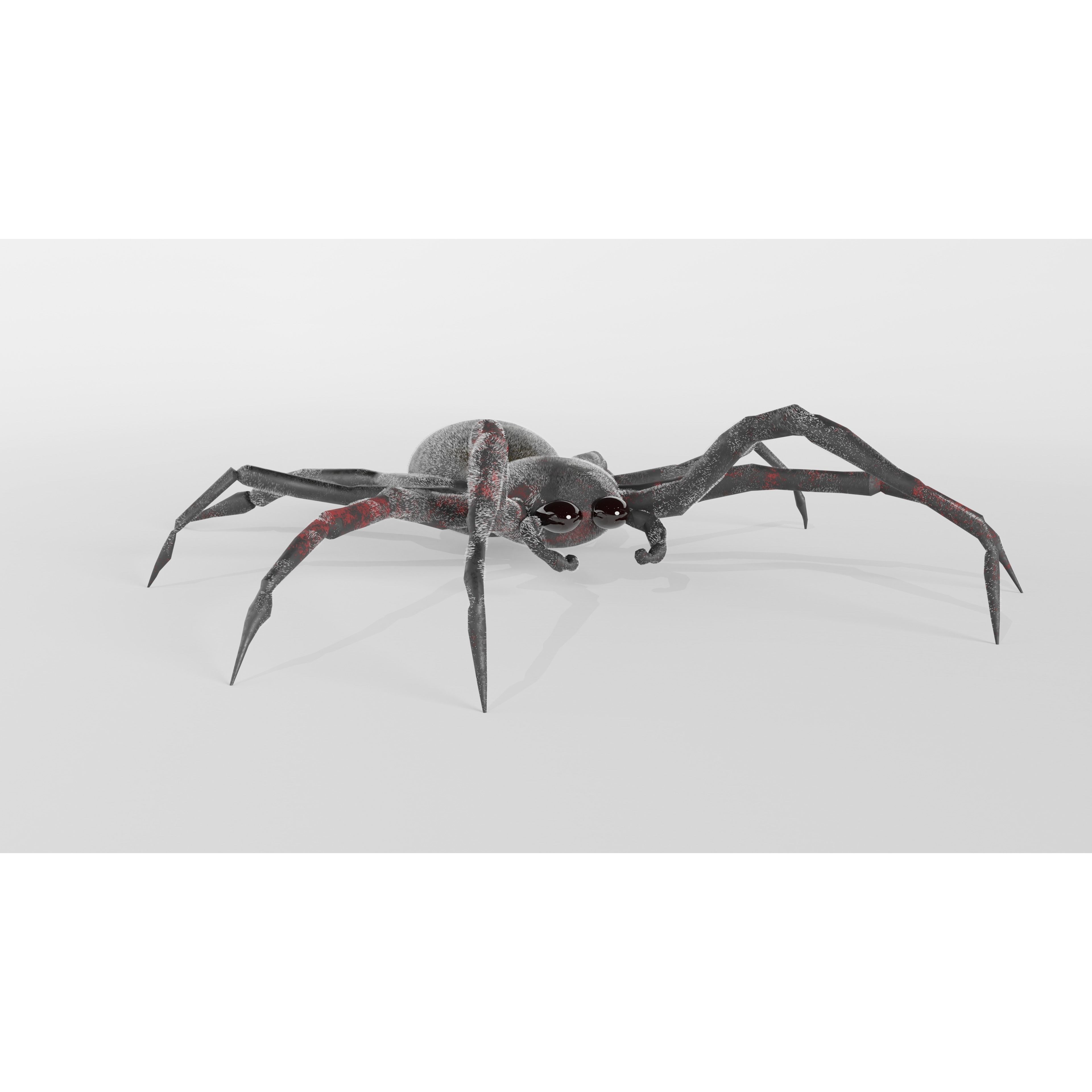 Spider Free low-poly 3D model 4