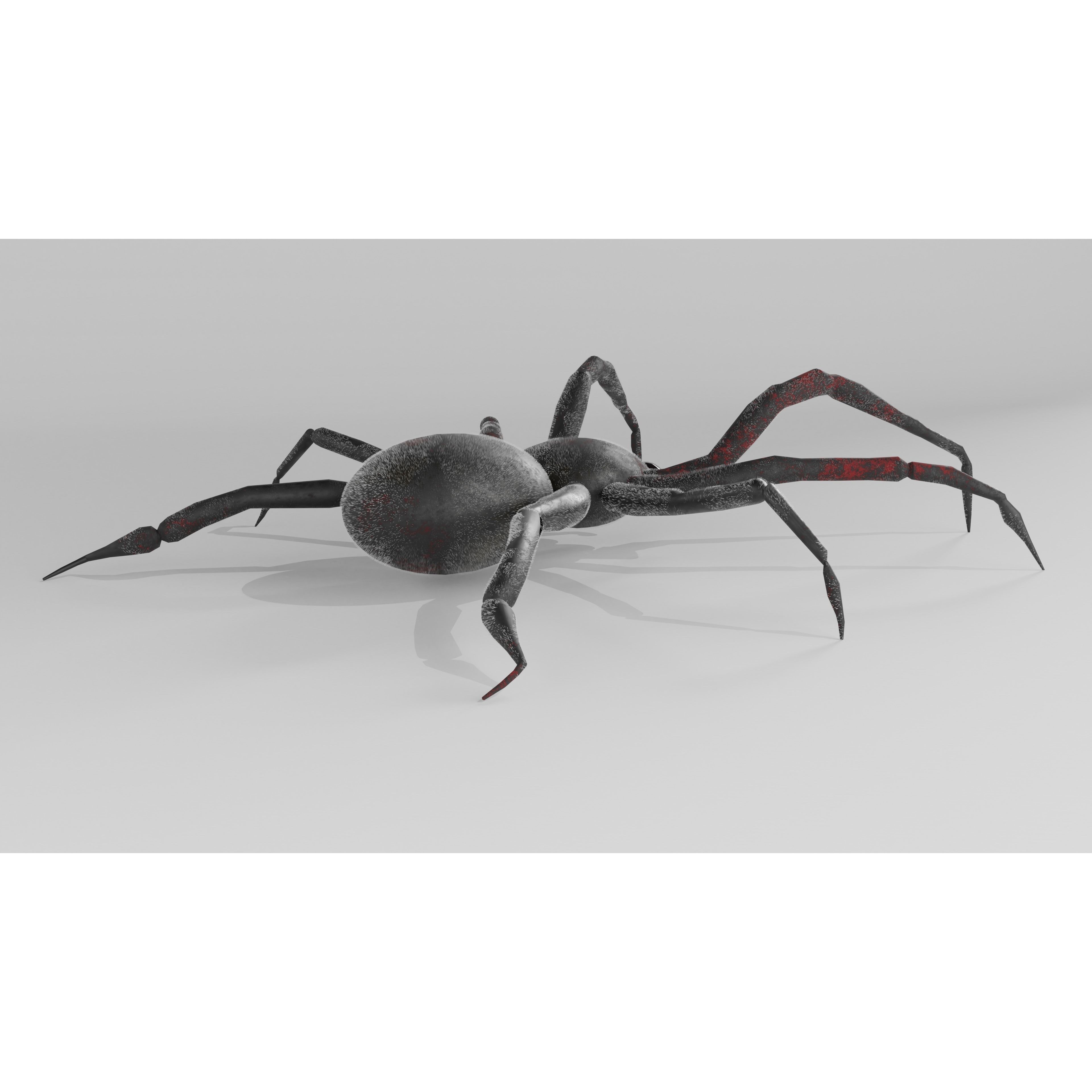 Spider Free low-poly 3D model 6