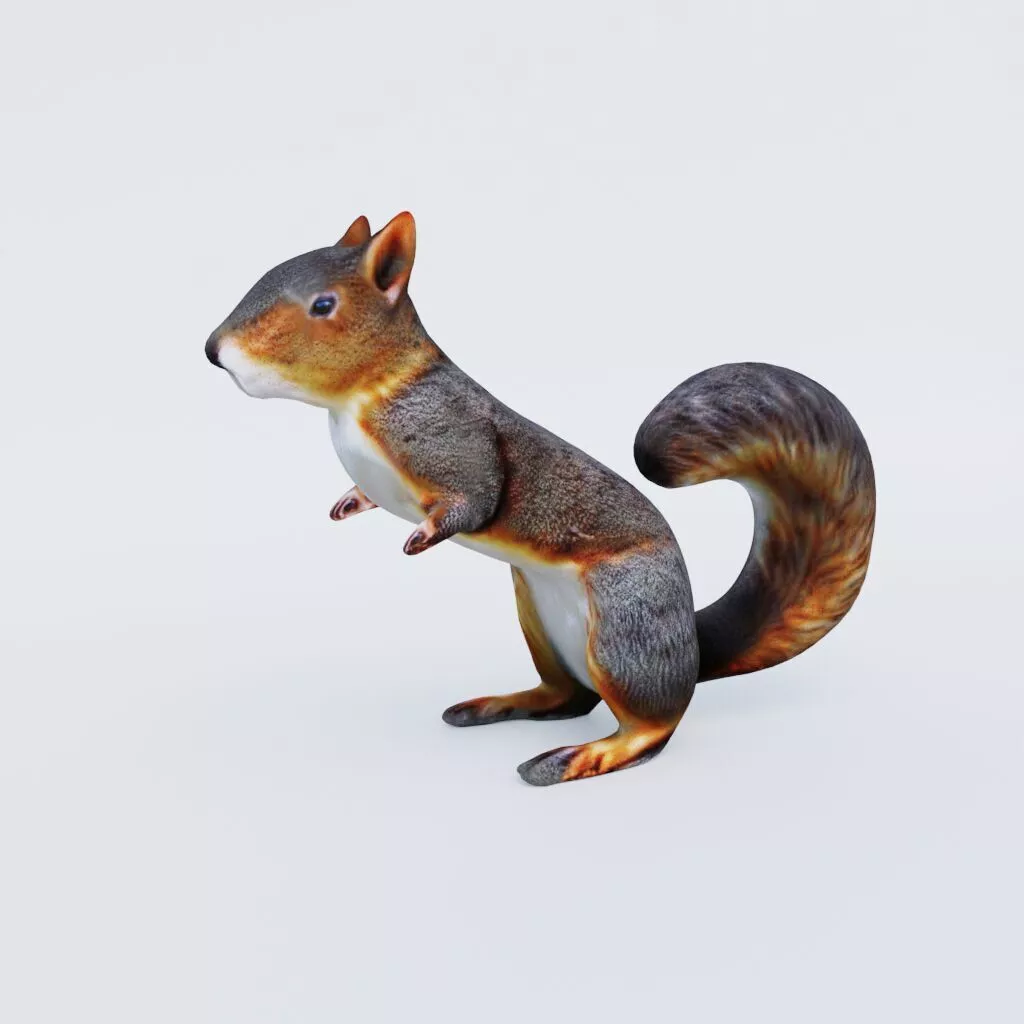 Squirrel Free 3D model