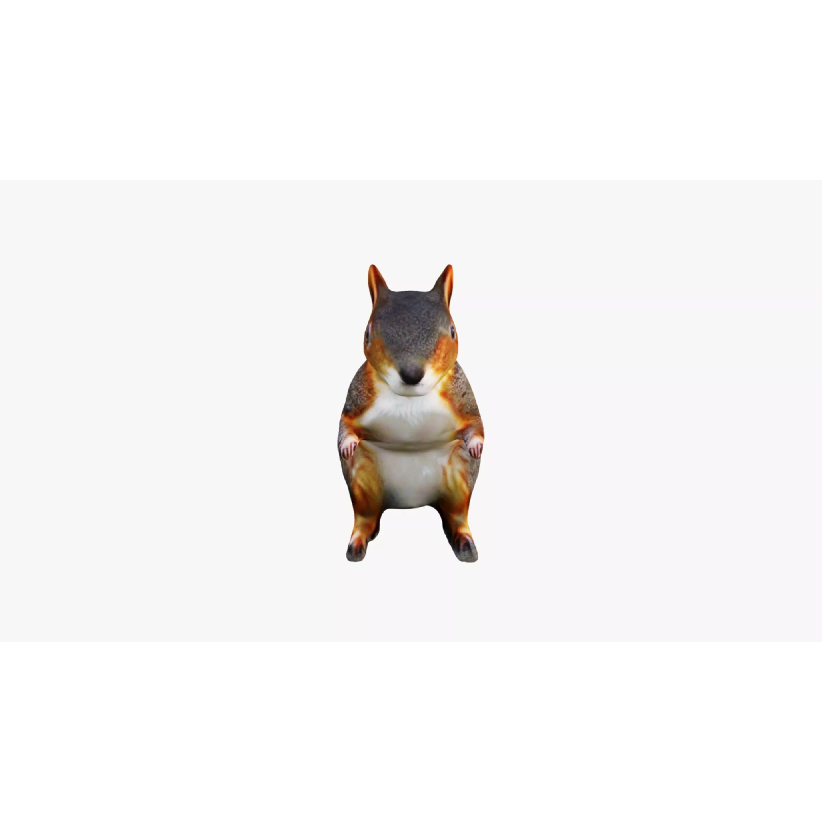 Squirrel Free 3D model 3