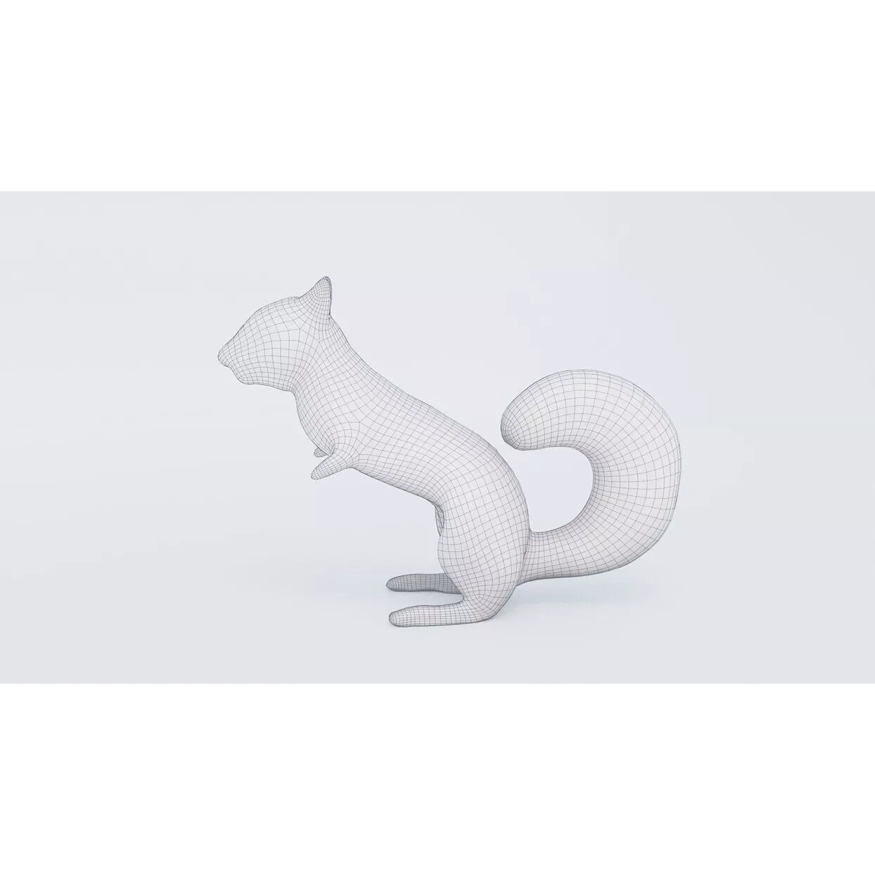 Squirrel Free 3D model 7