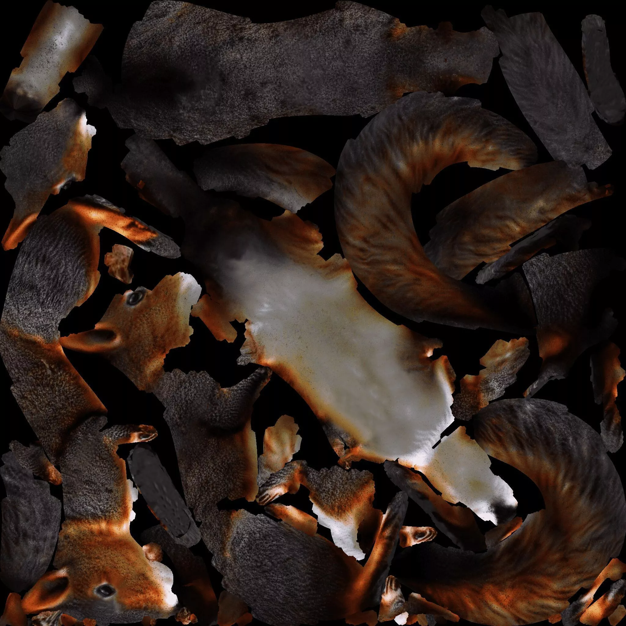 Squirrel Free 3D model 8