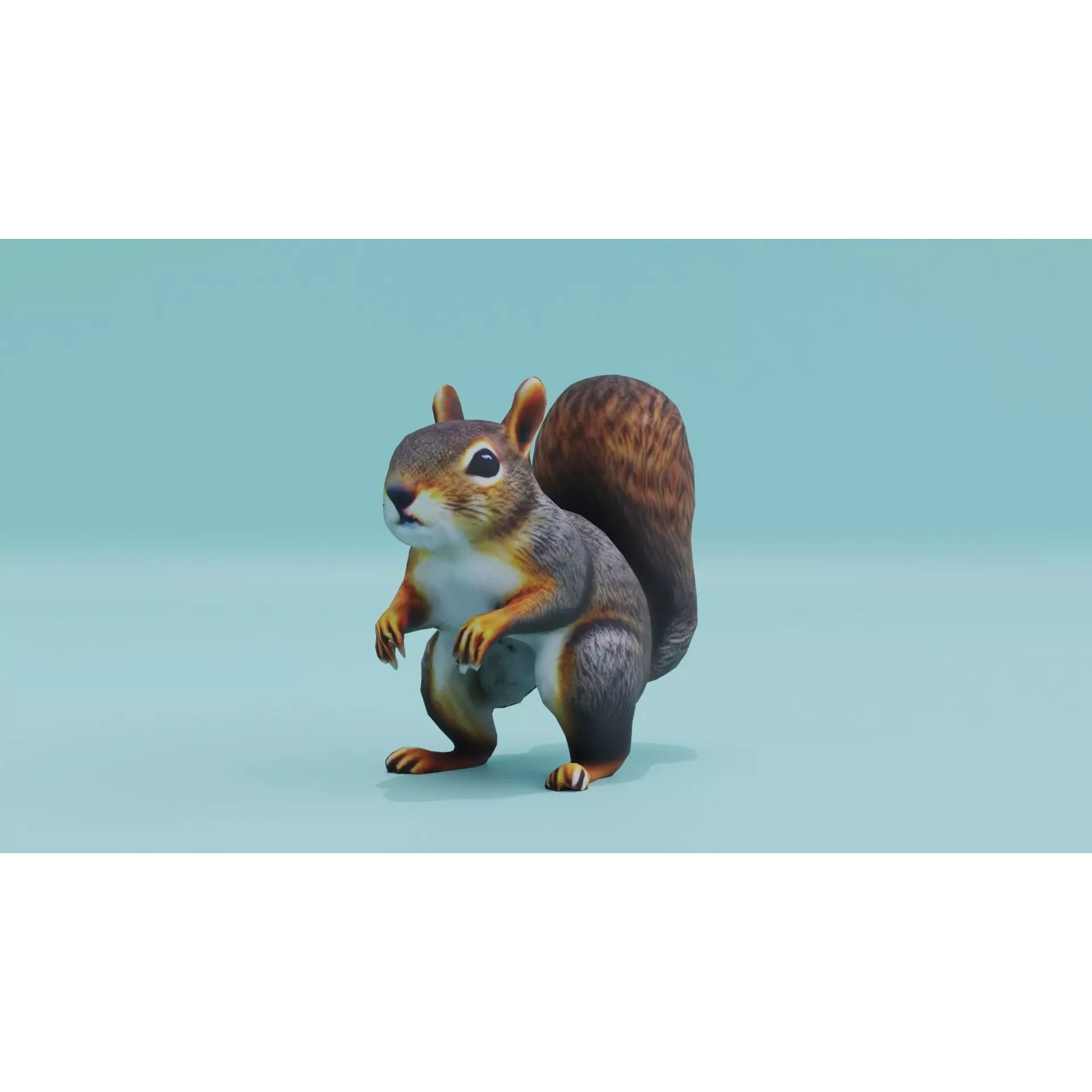 Squirrel realistic Rodent Free low-poly 3D model
