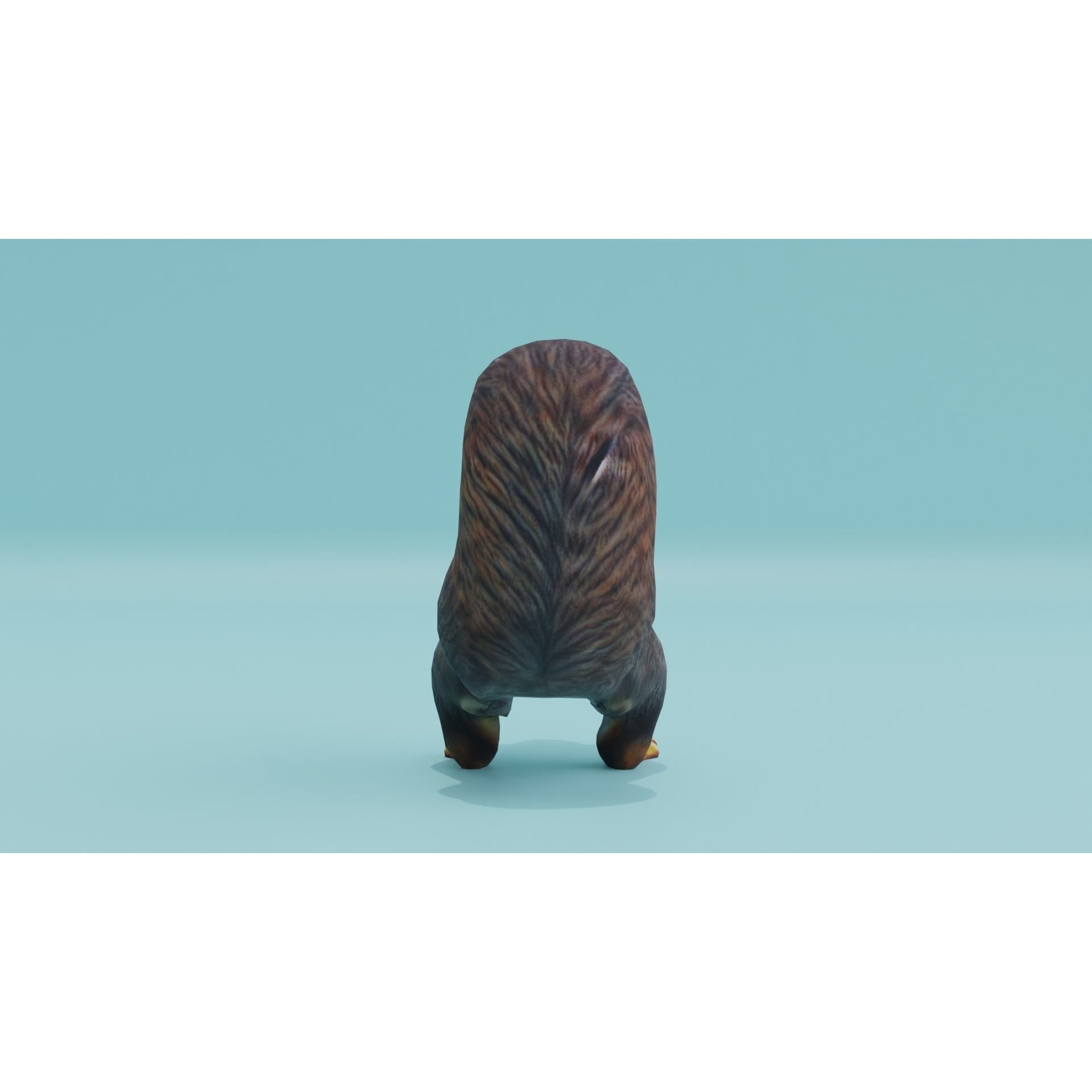 Squirrel realistic Rodent Free low-poly 3D model 6