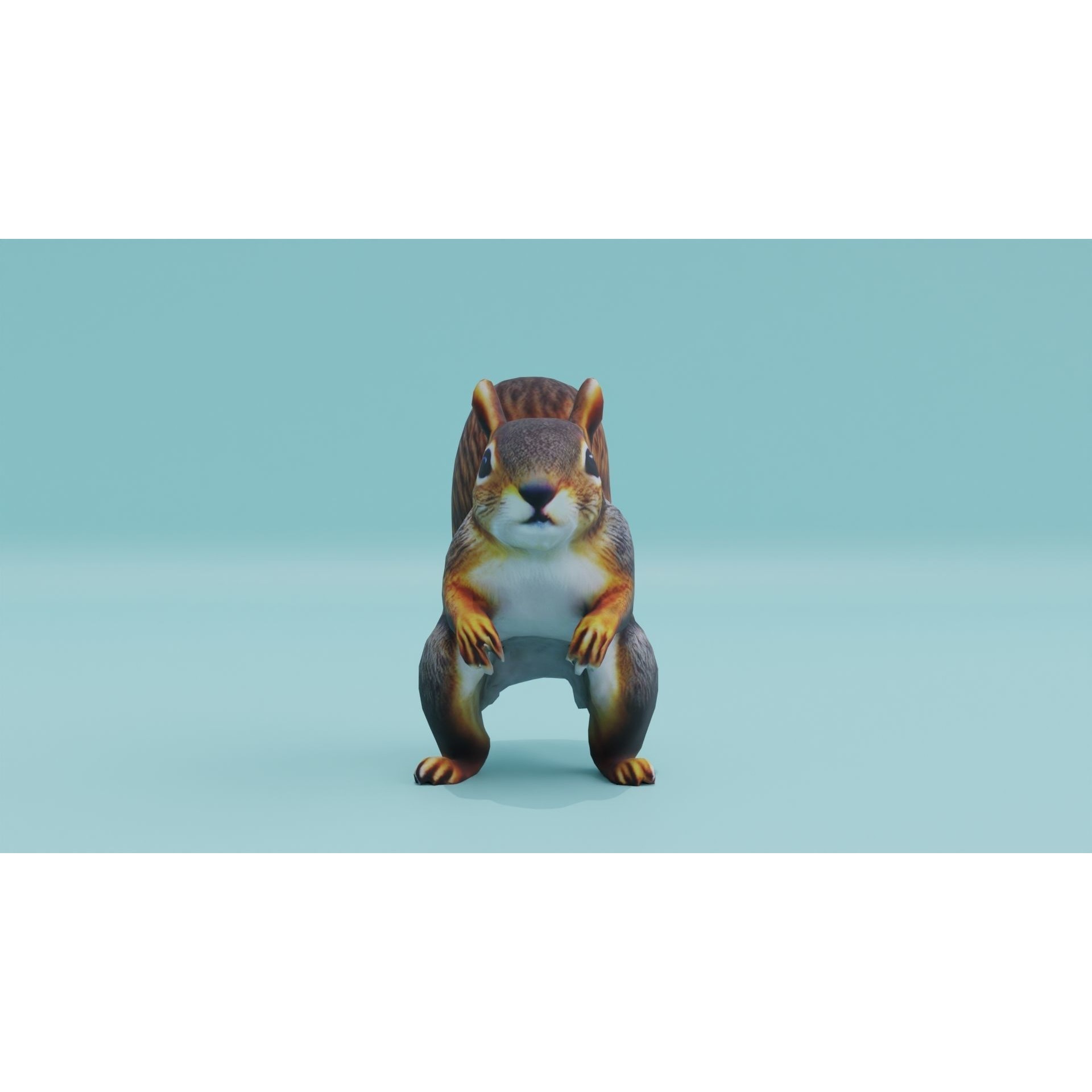 Squirrel realistic Rodent Free low-poly 3D model 10
