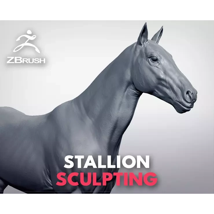 Stallion - Sculpt 3D model
