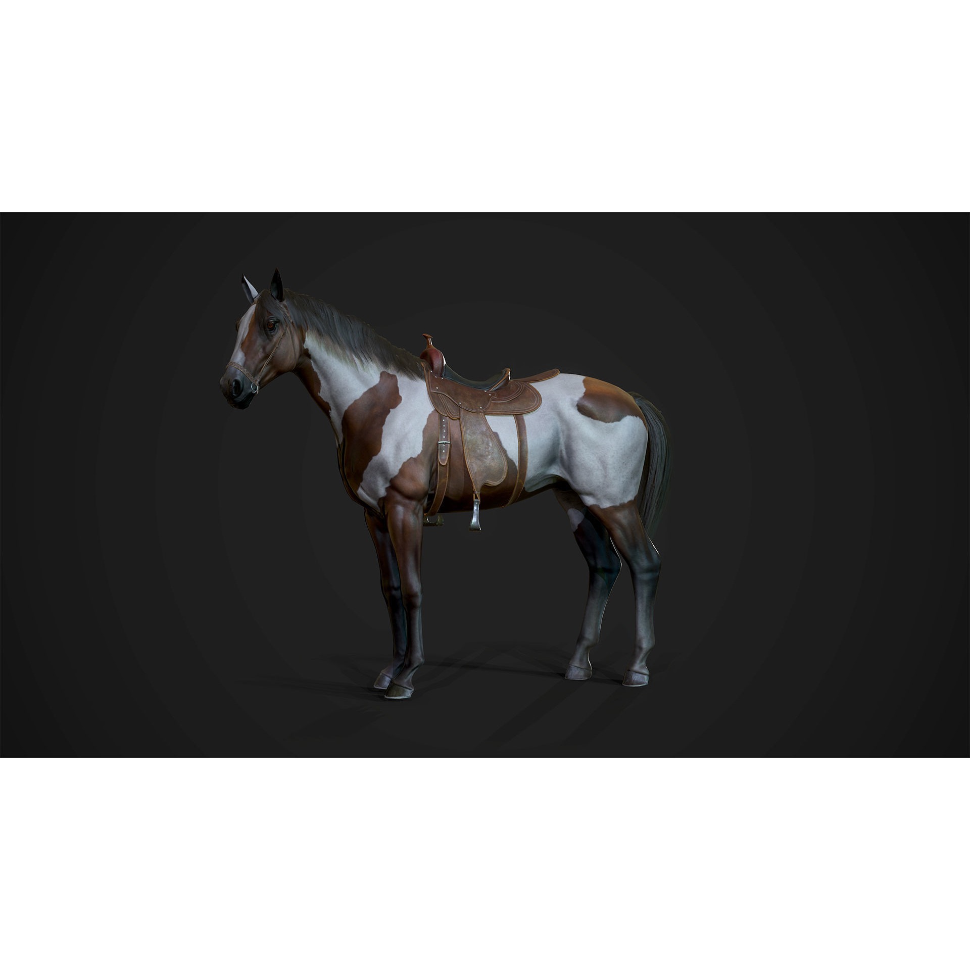 Stallions - Game Ready horse Low-poly 3D model 2