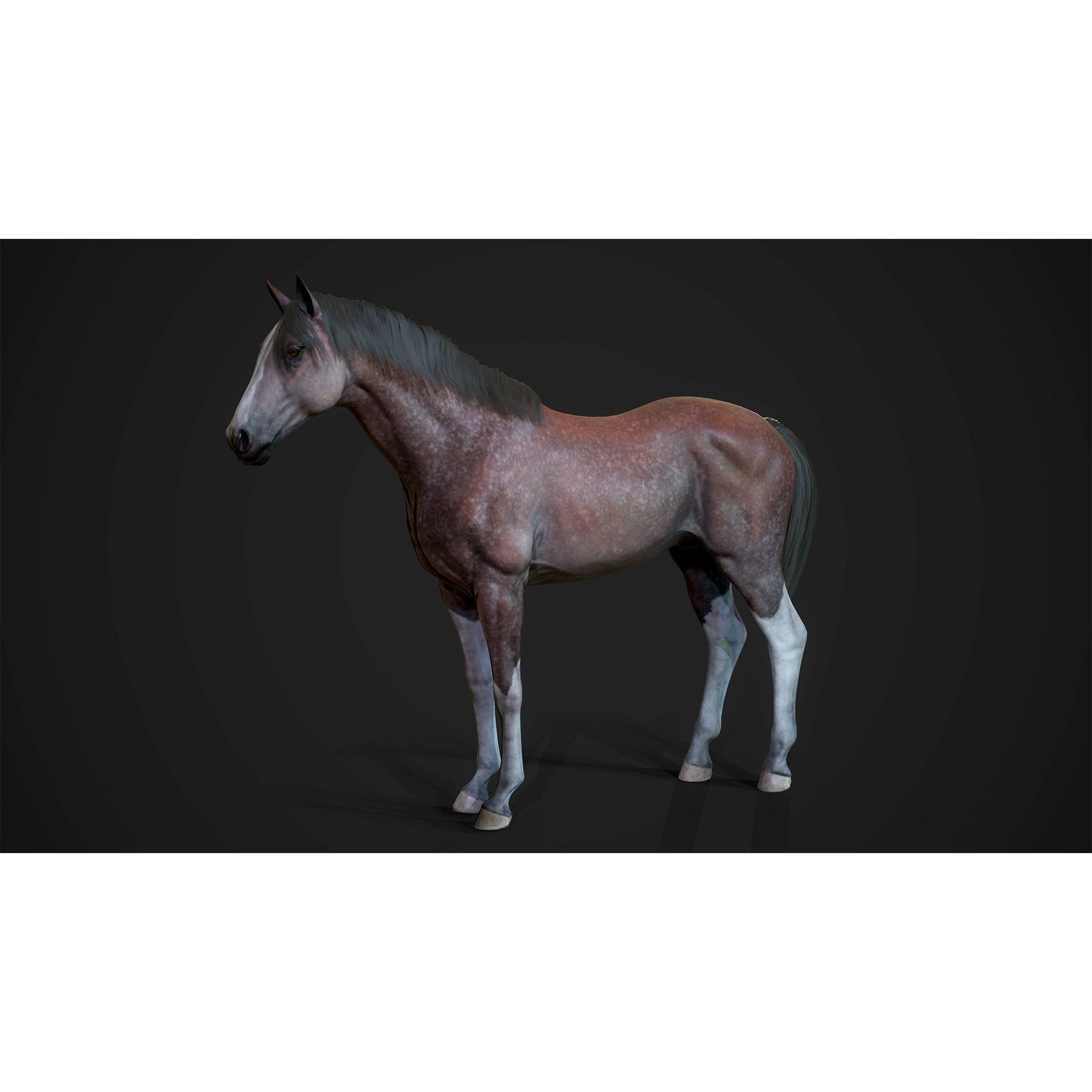 Stallions - Game Ready horse Low-poly 3D model 3
