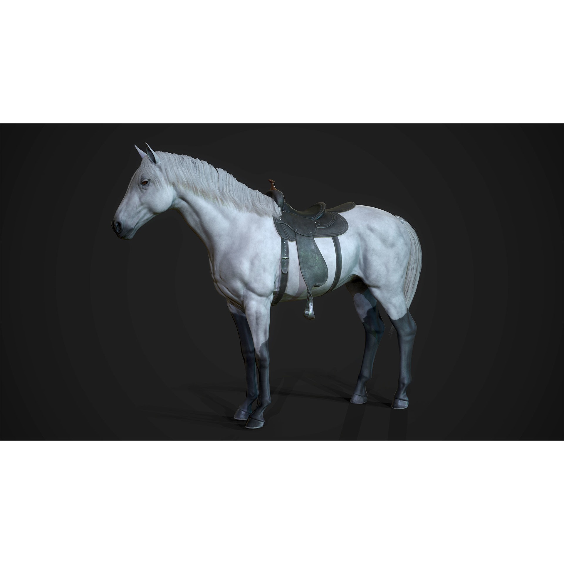 Stallions - Game Ready horse Low-poly 3D model 6
