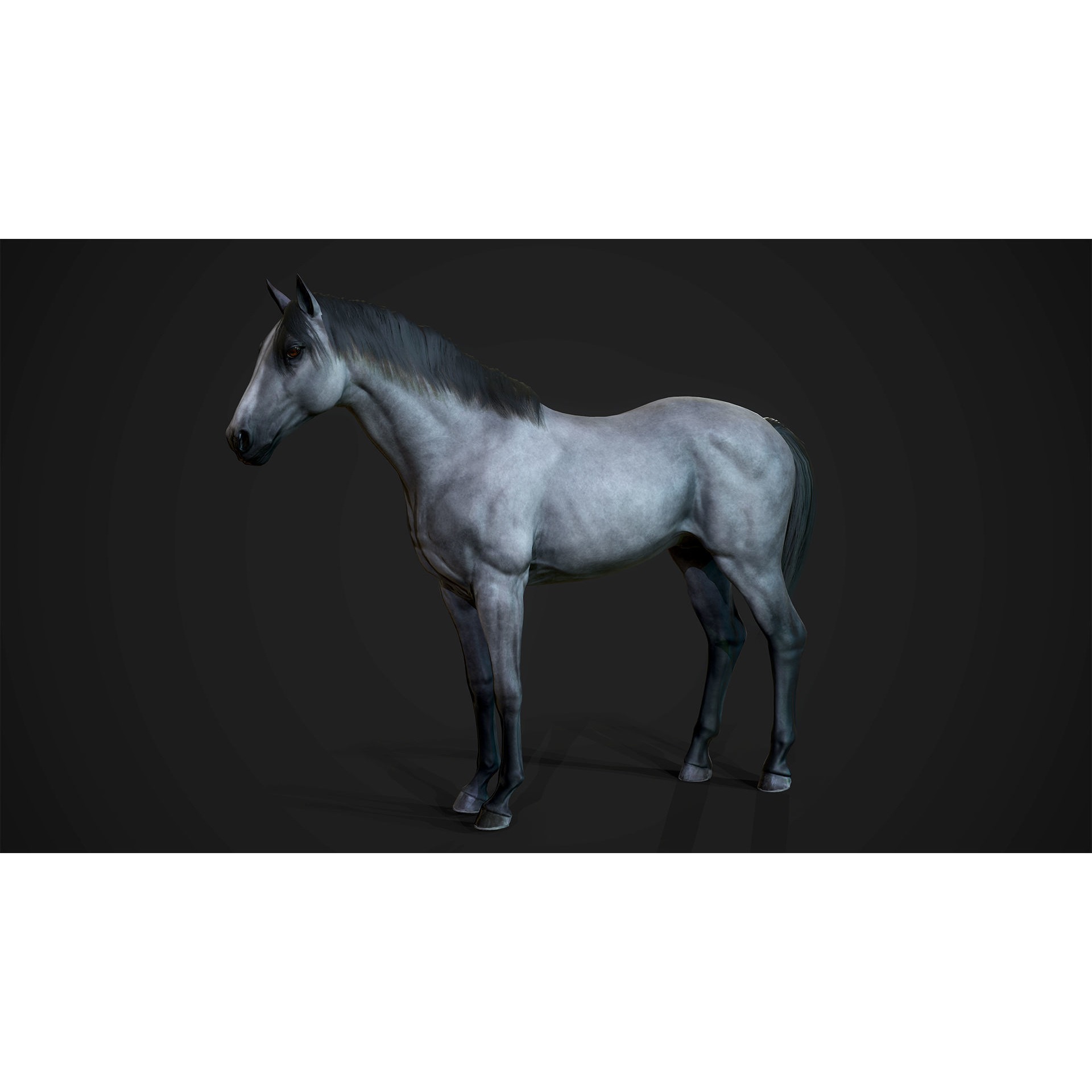 Stallions - Game Ready horse Low-poly 3D model 7