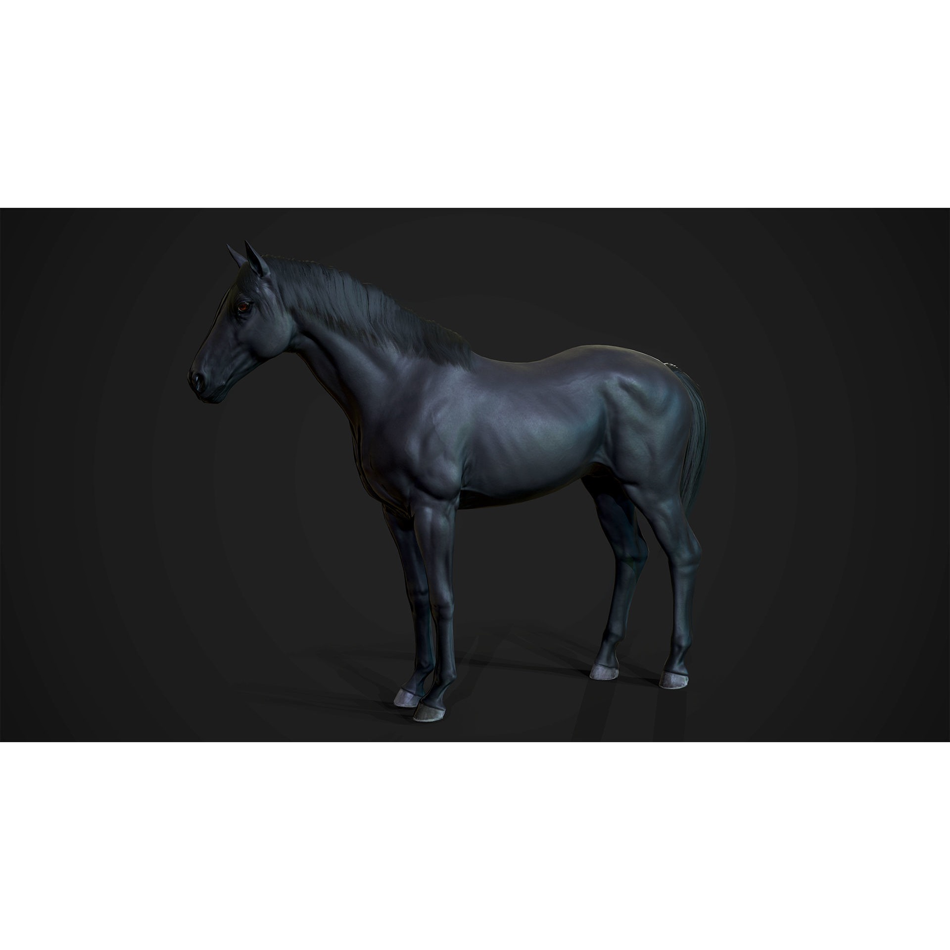 Stallions - Game Ready horse Low-poly 3D model 8
