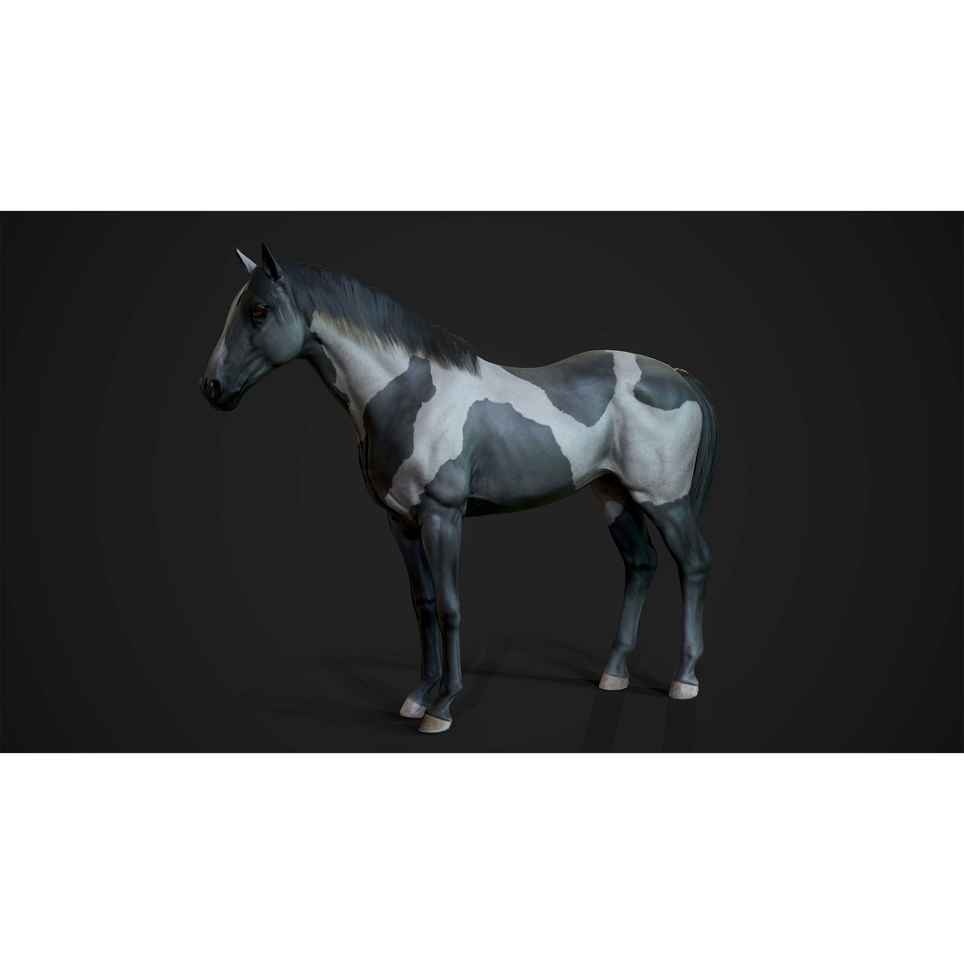 Stallions - Game Ready horse Low-poly 3D model 9