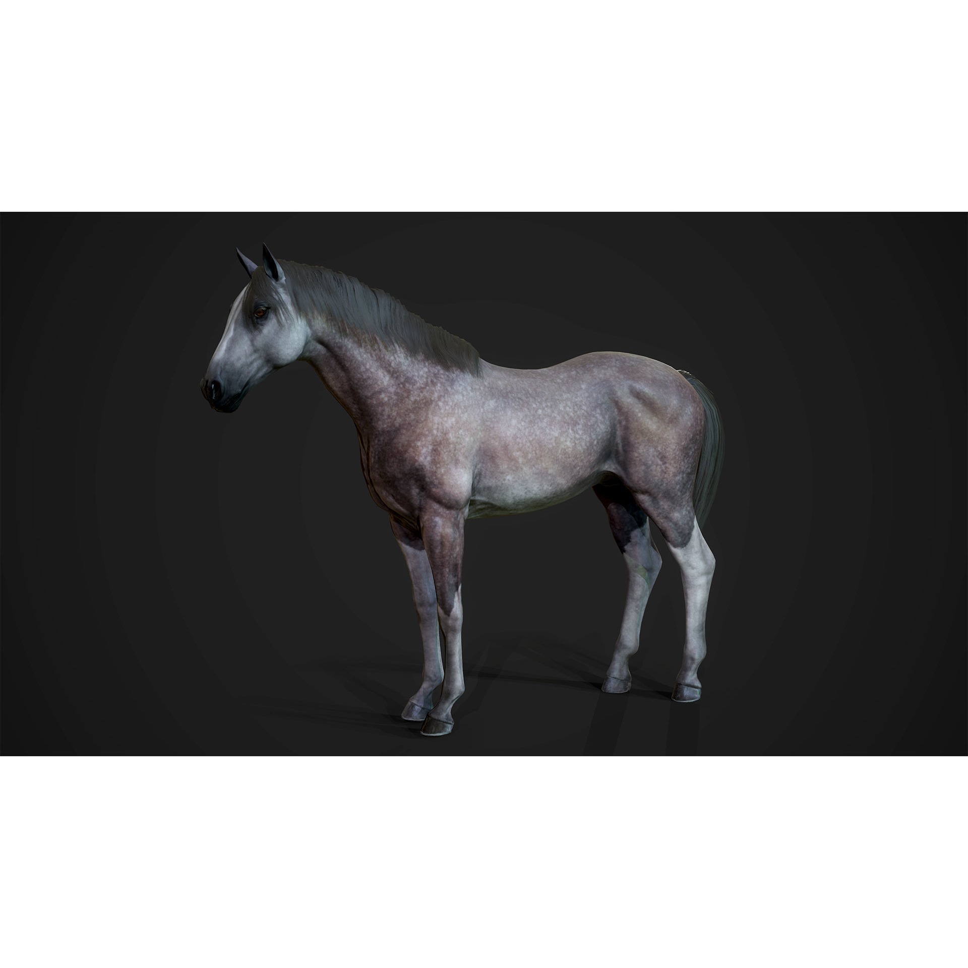 Stallions - Game Ready horse Low-poly 3D model 10