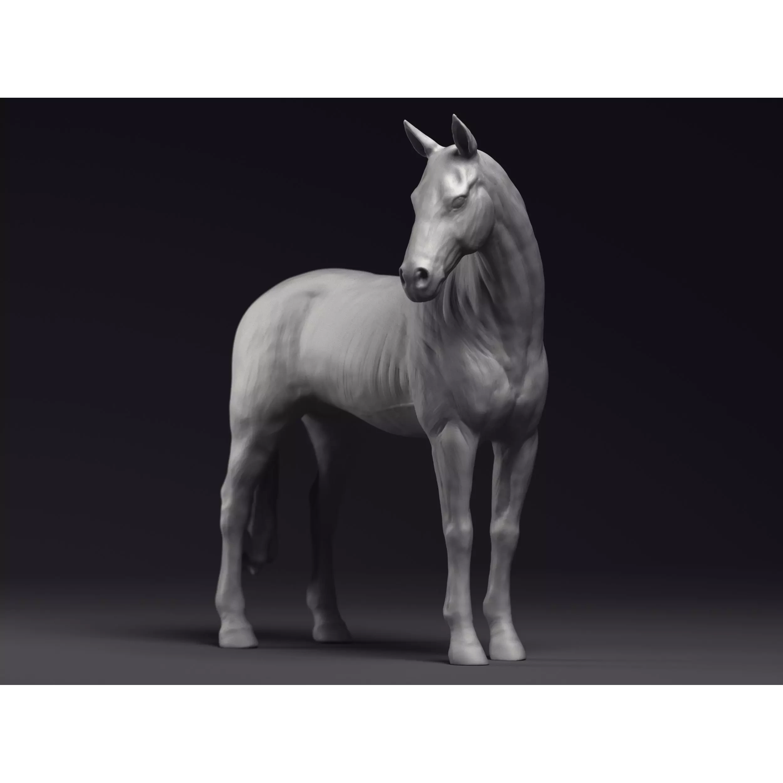 Study of a Horse Printable 3D Model 3D print model